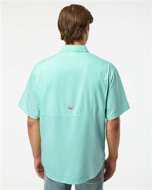 Back Model Gulf Stream