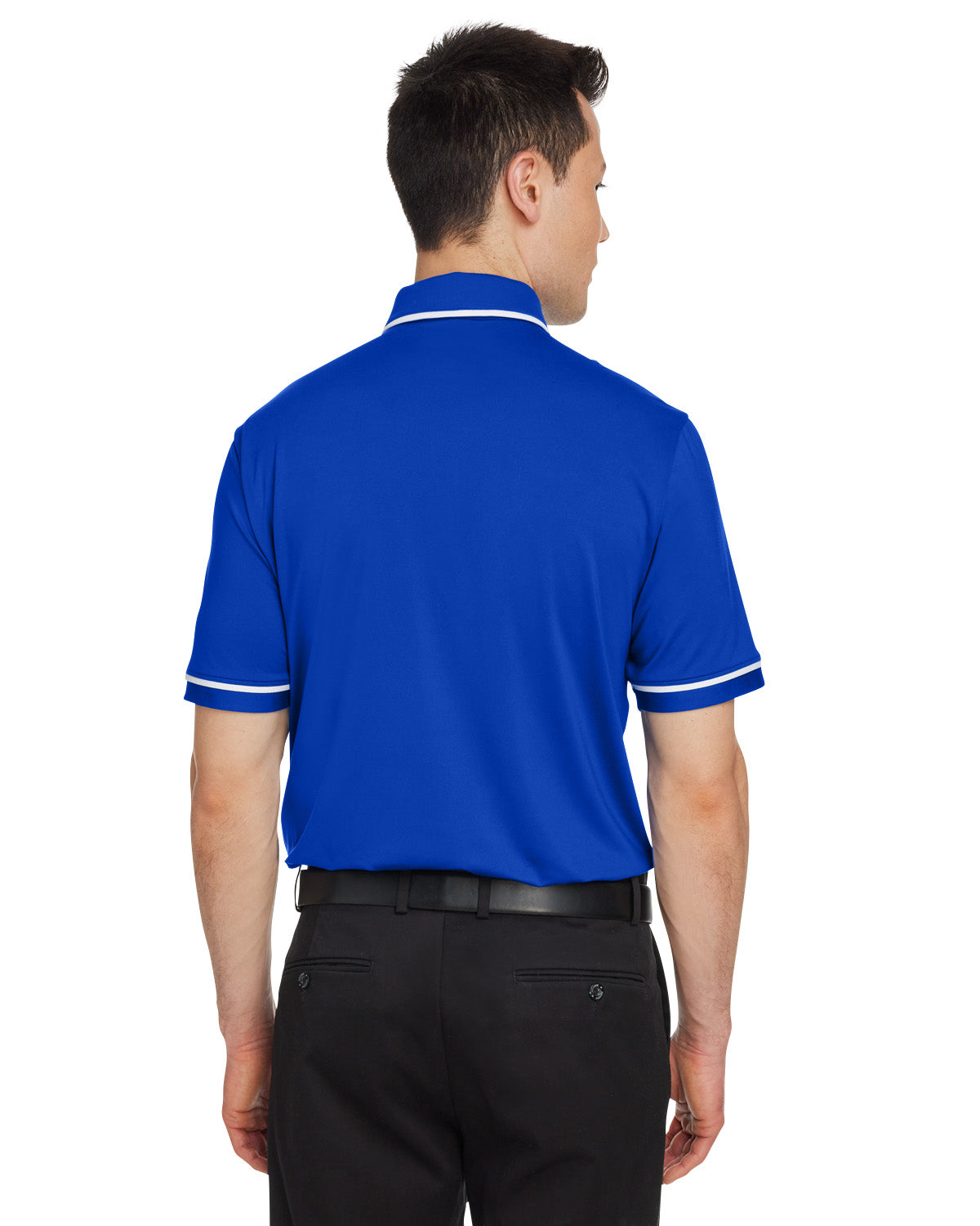 Back Model Royal/ White