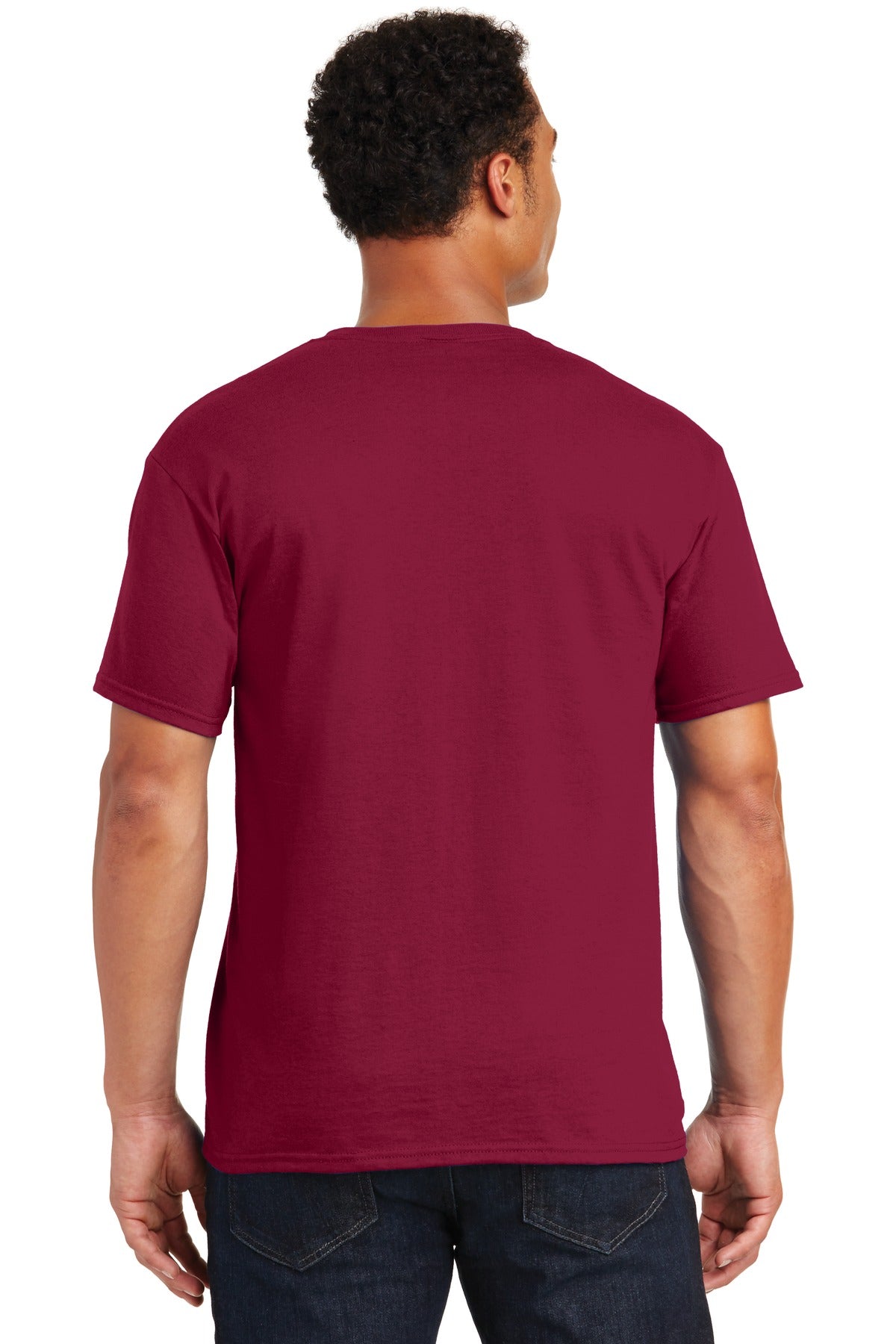 Back Model Cardinal