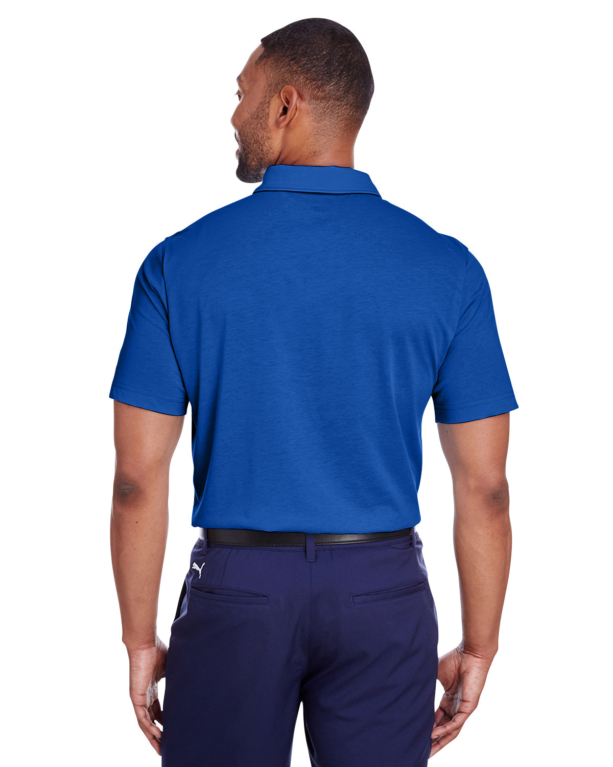 Back Model Surf The Web