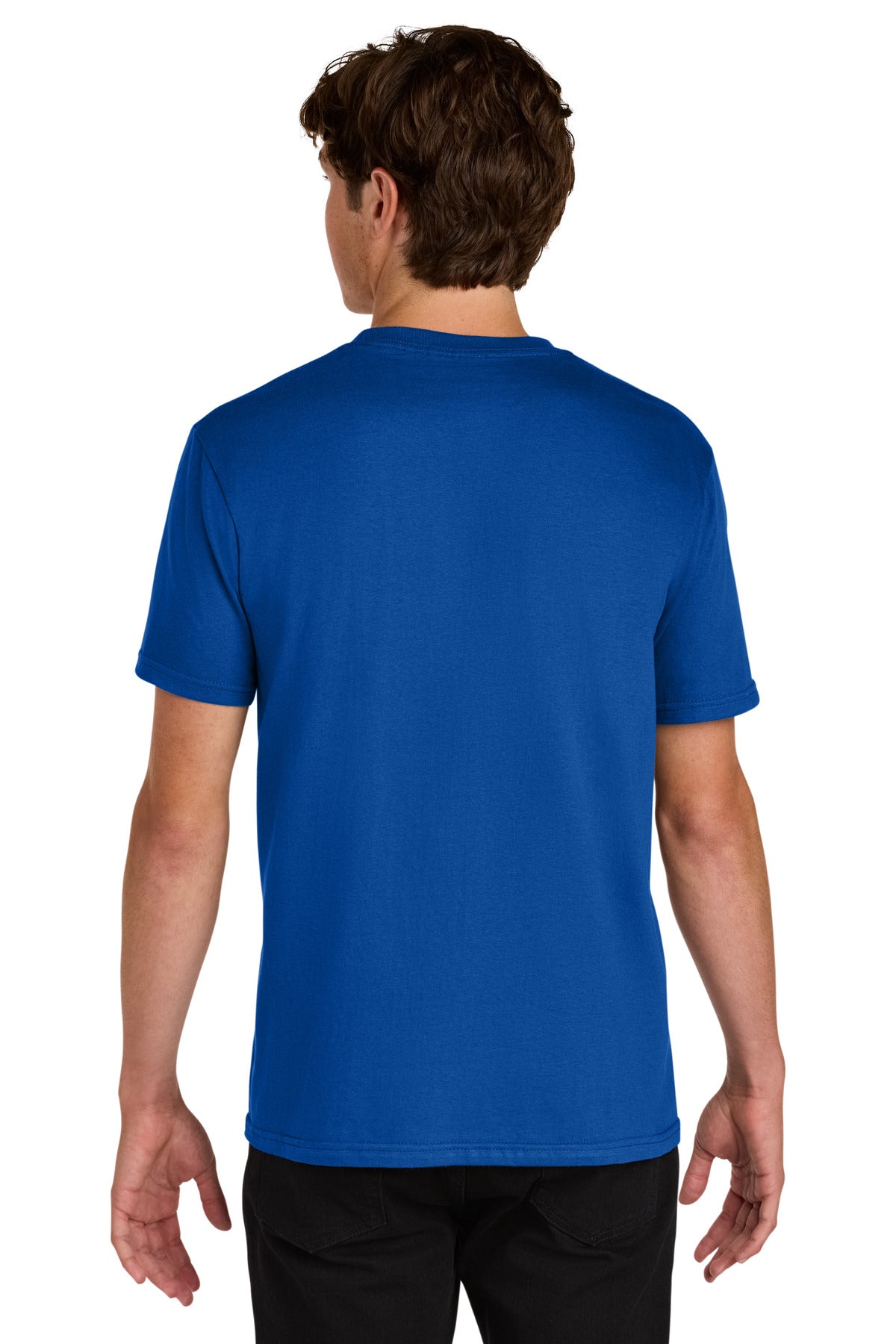Back Model Royal