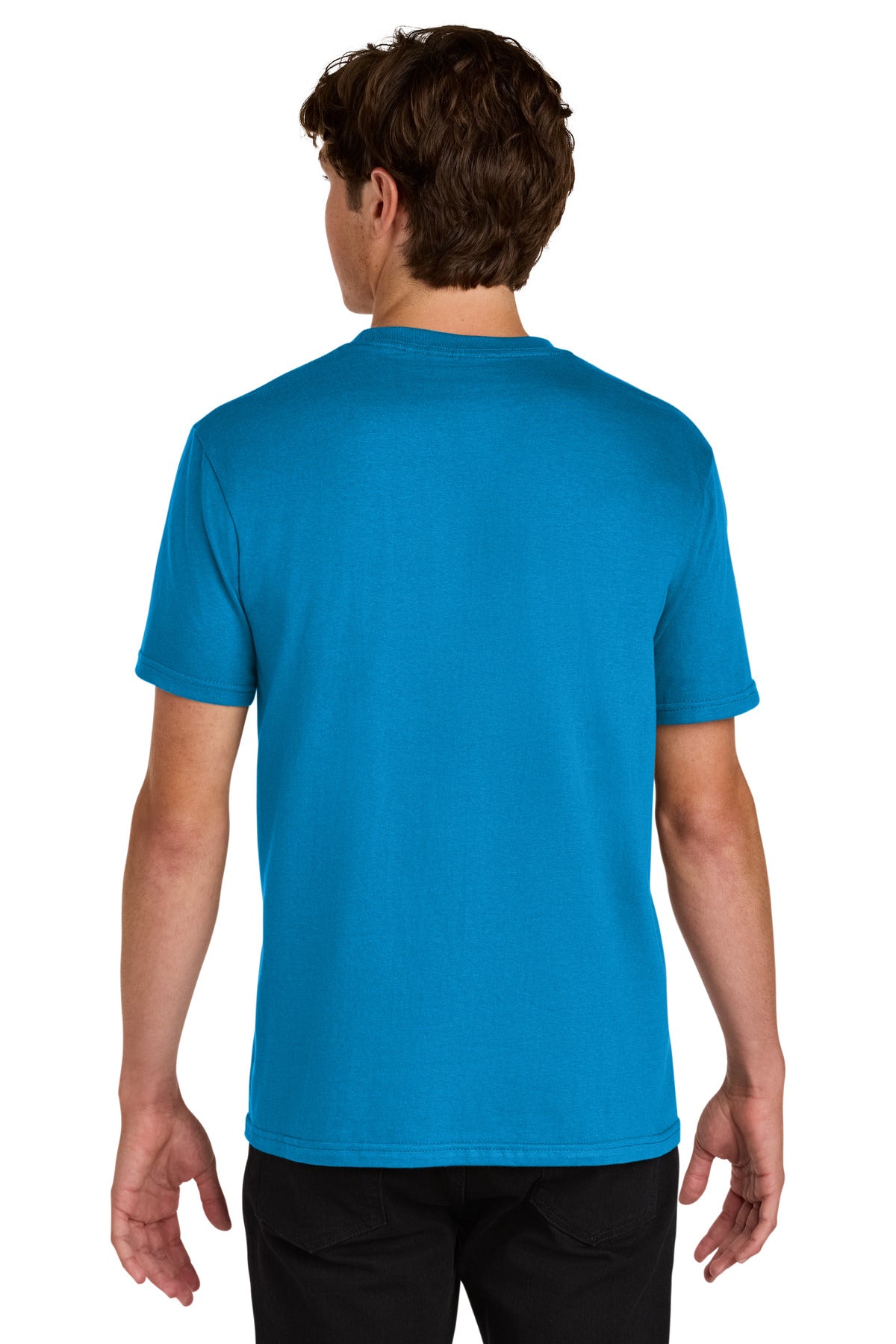 Back Model Sapphire