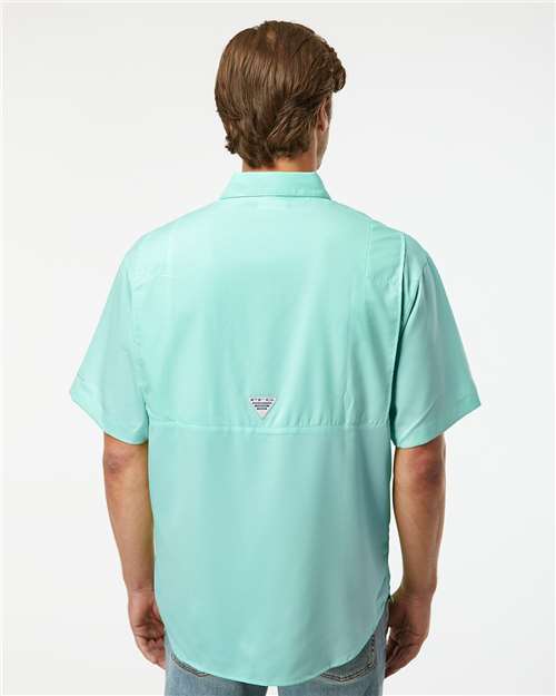 Back Model Gulf Stream