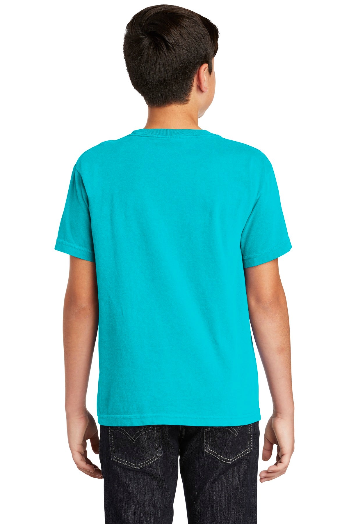 Back Model Lagoon