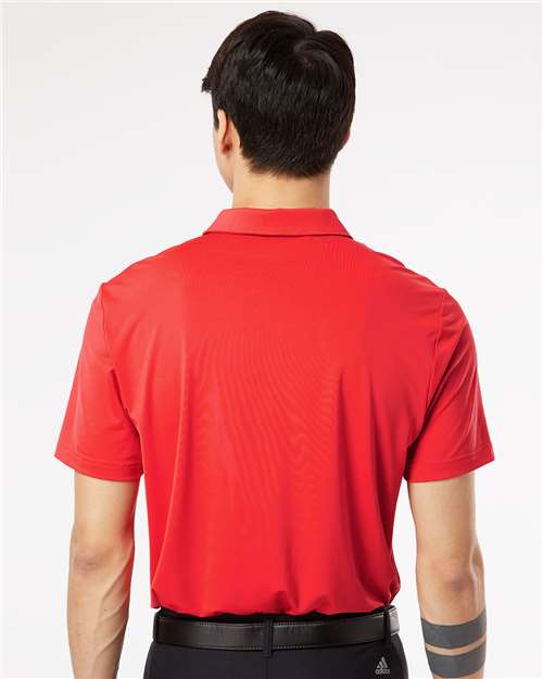 Back Model Real Coral