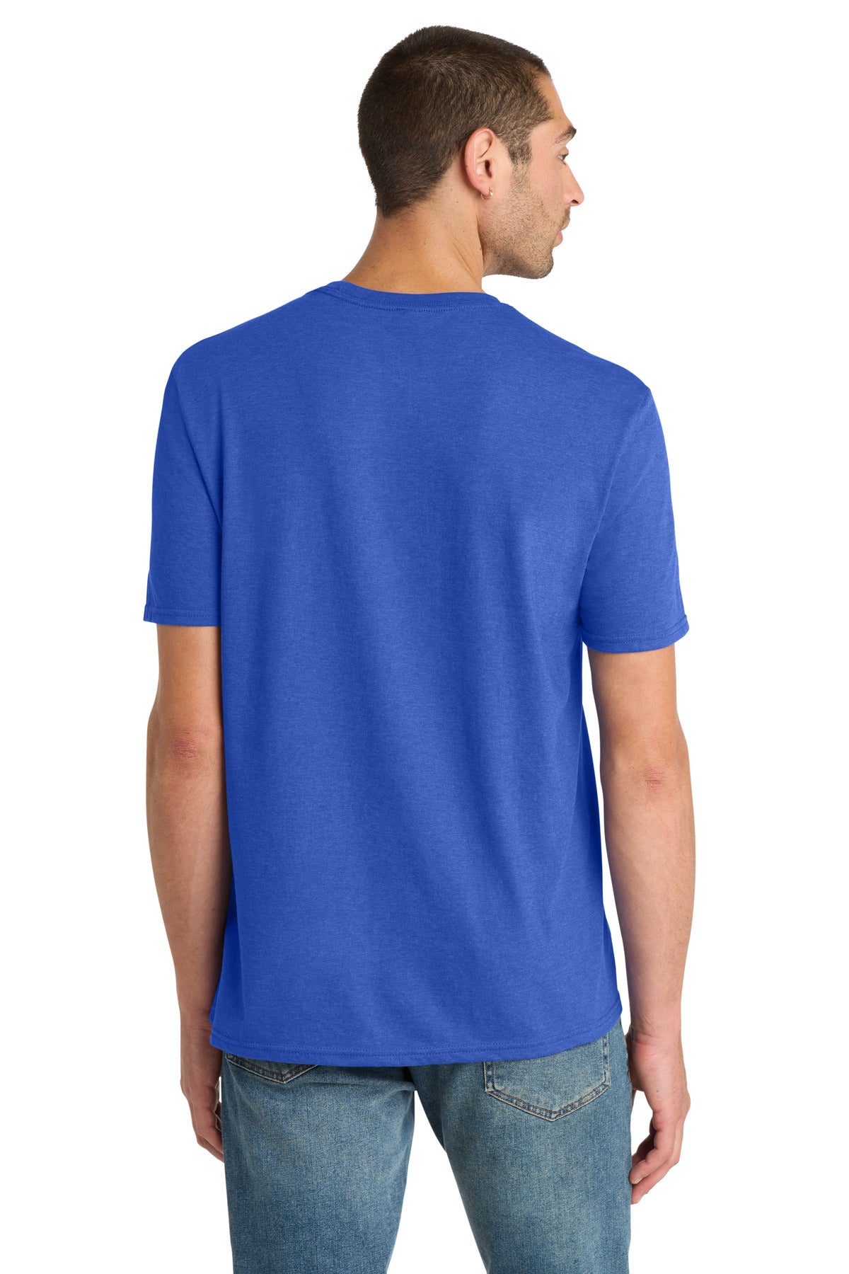 Back Model Royal Frost