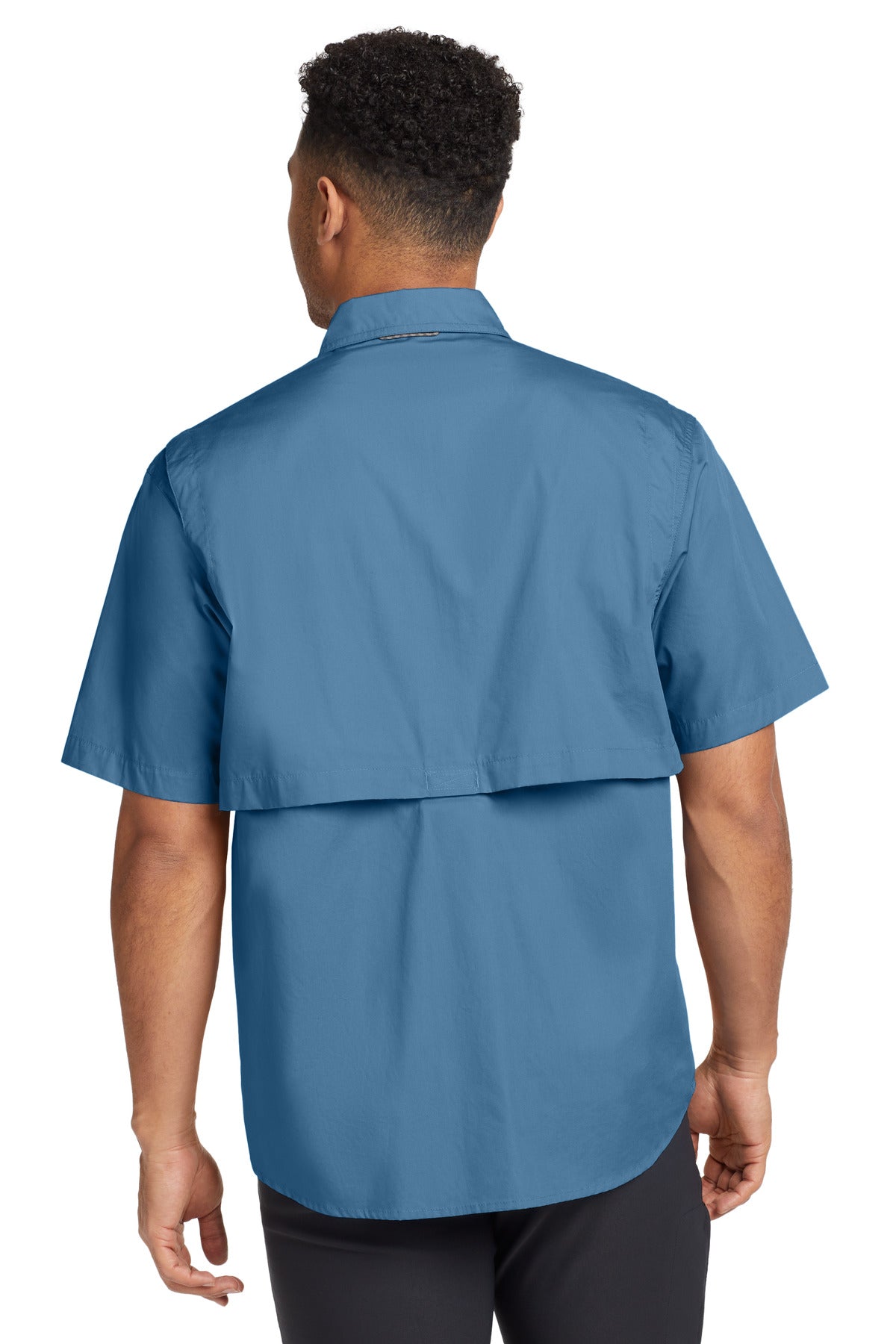 Back Model Blue Gill