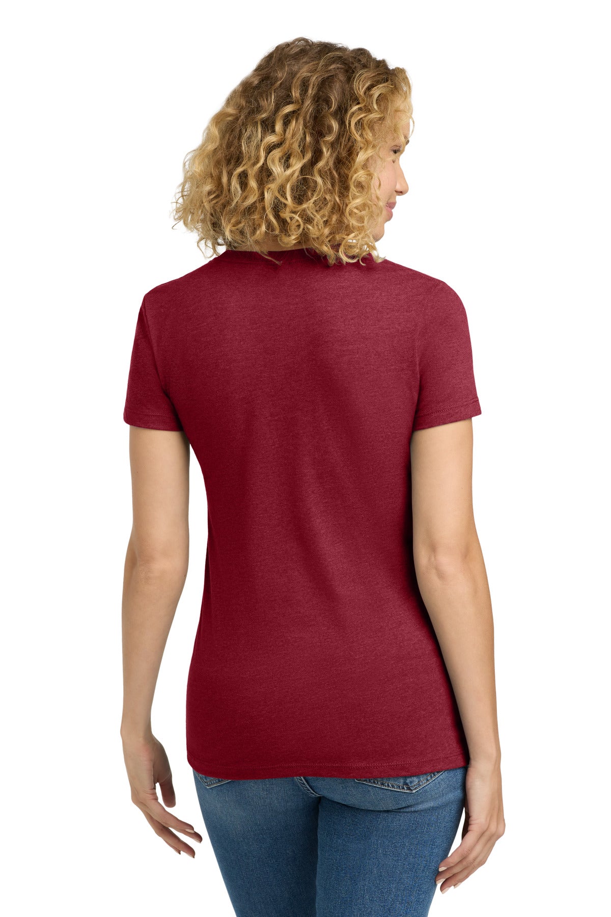 Back Model Cardinal