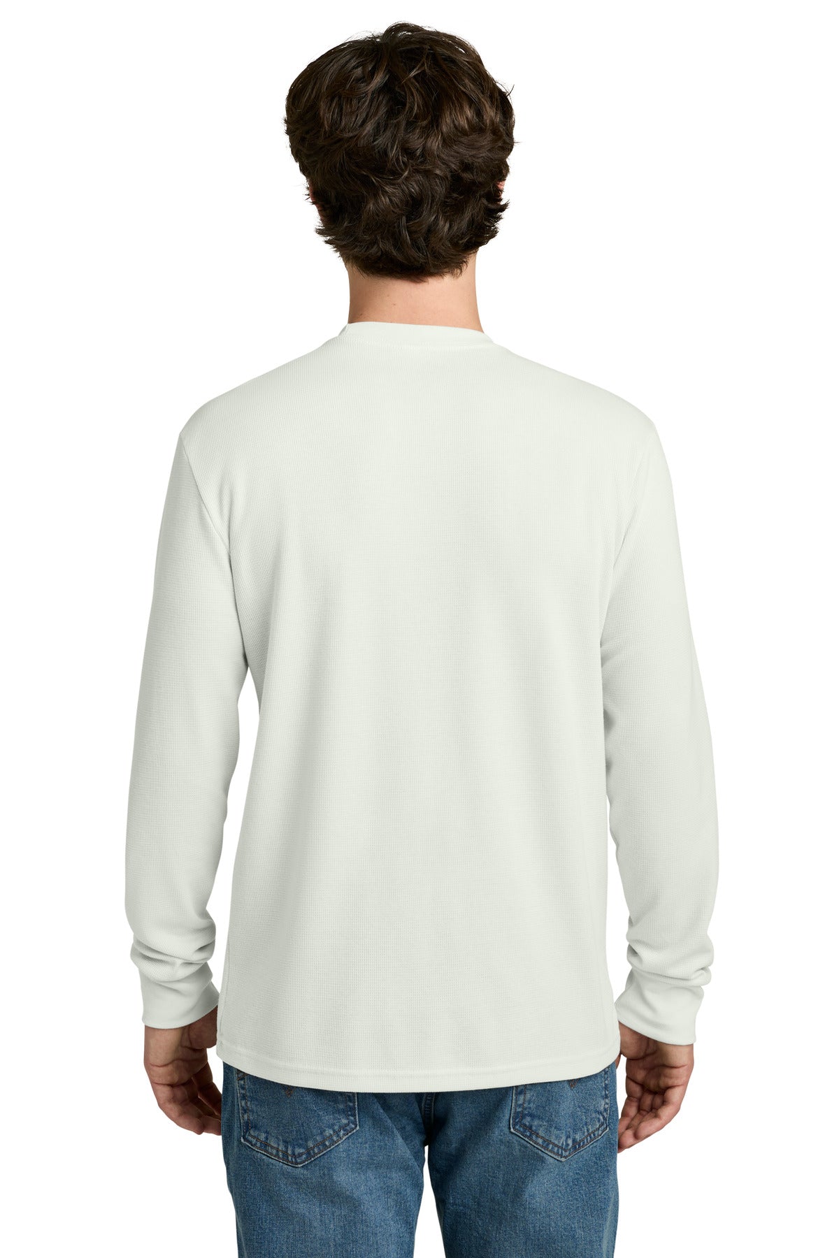 Back Model Bone