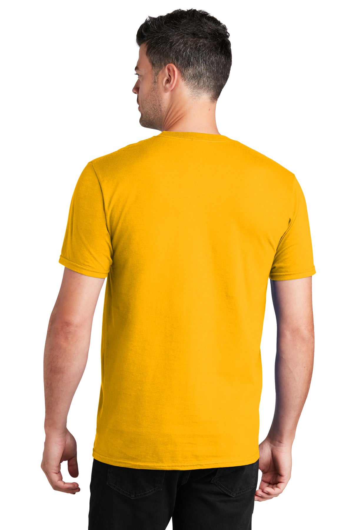 Back Model Bright Gold