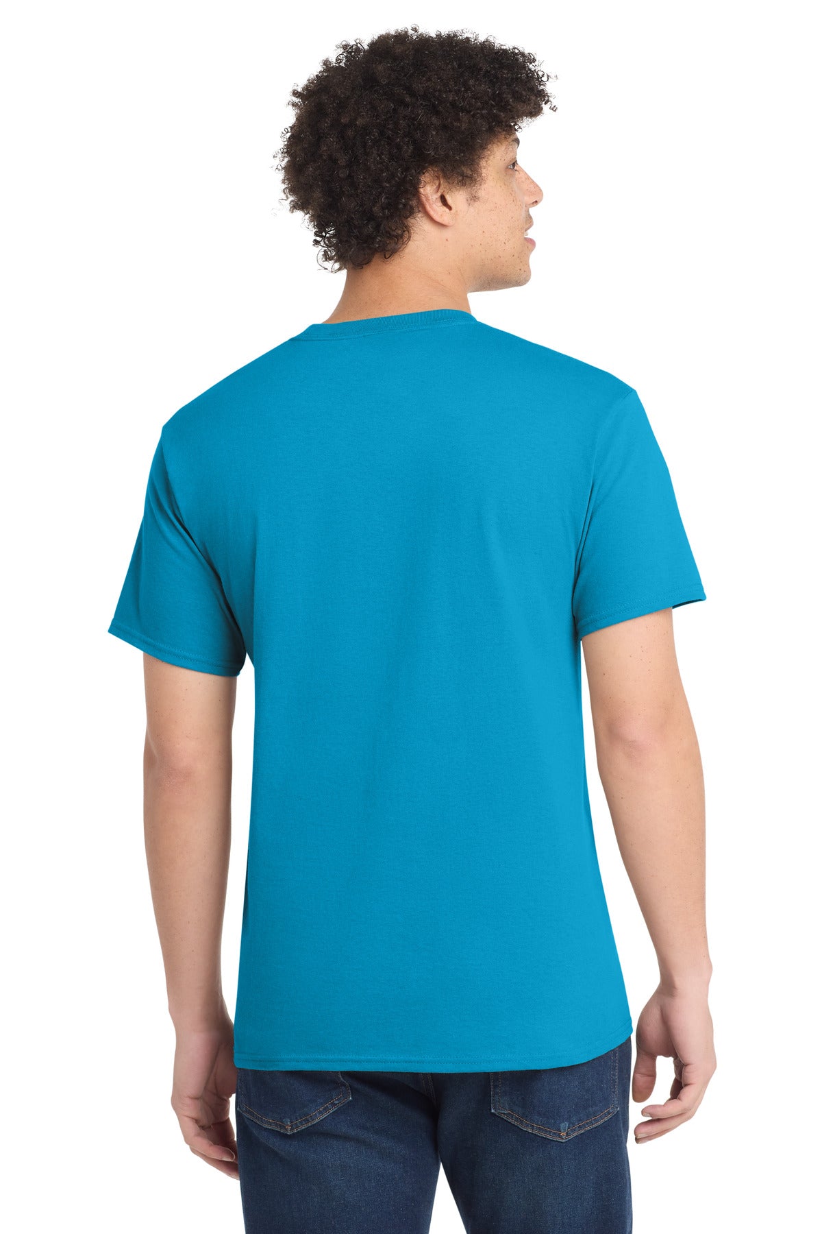 Back Model Sapphire