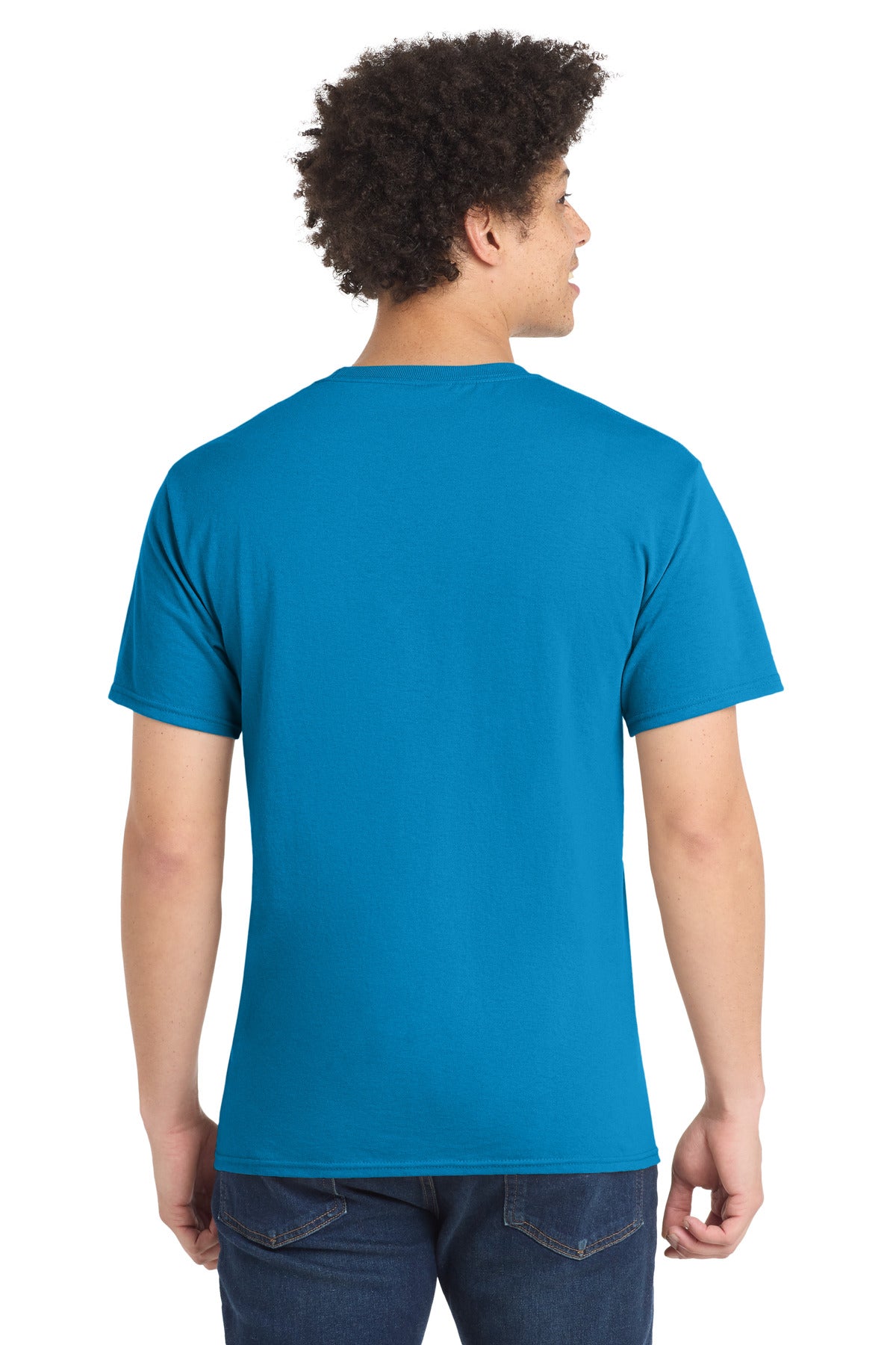 Back Model Sapphire