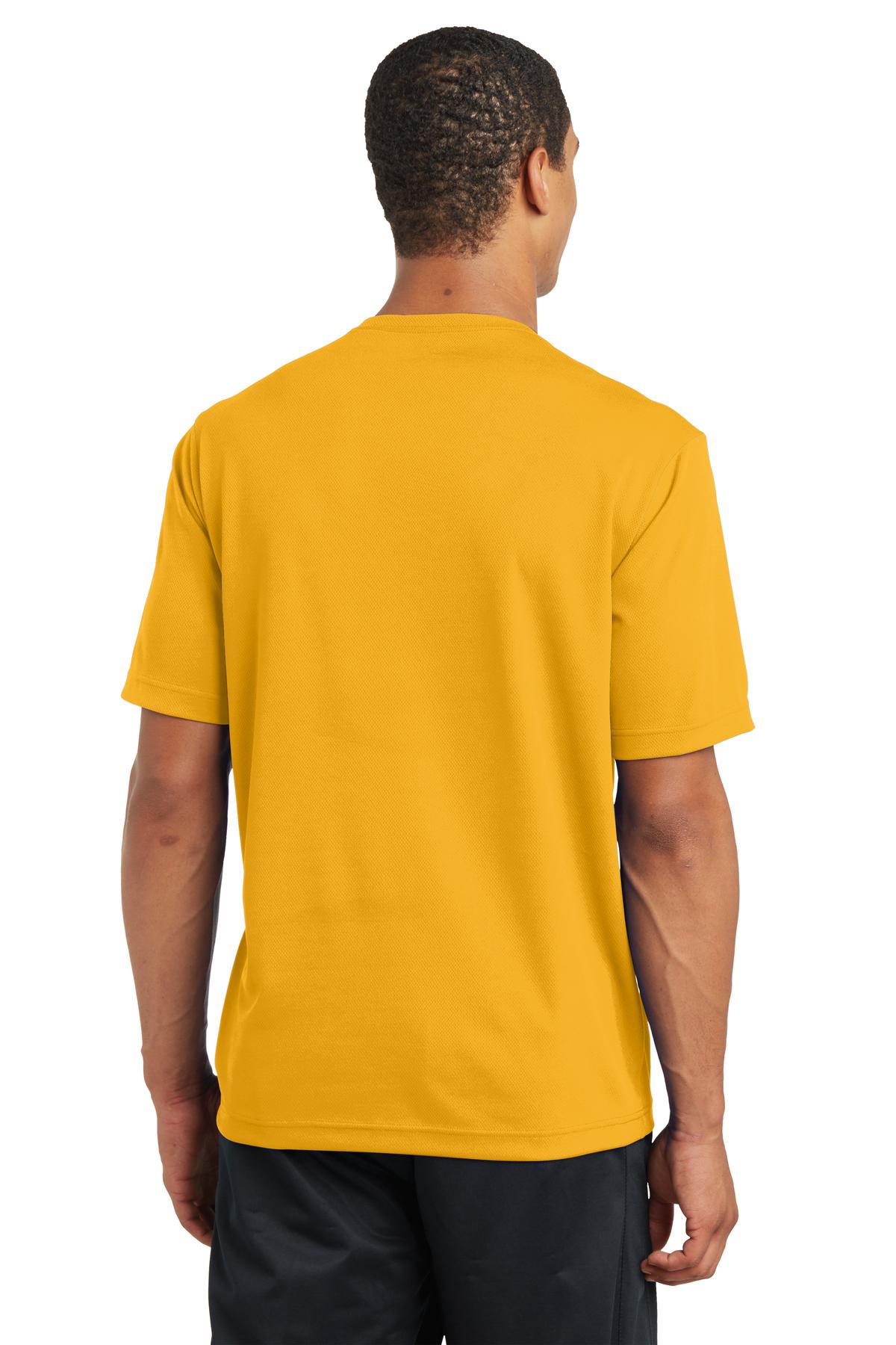 Back Model Gold
