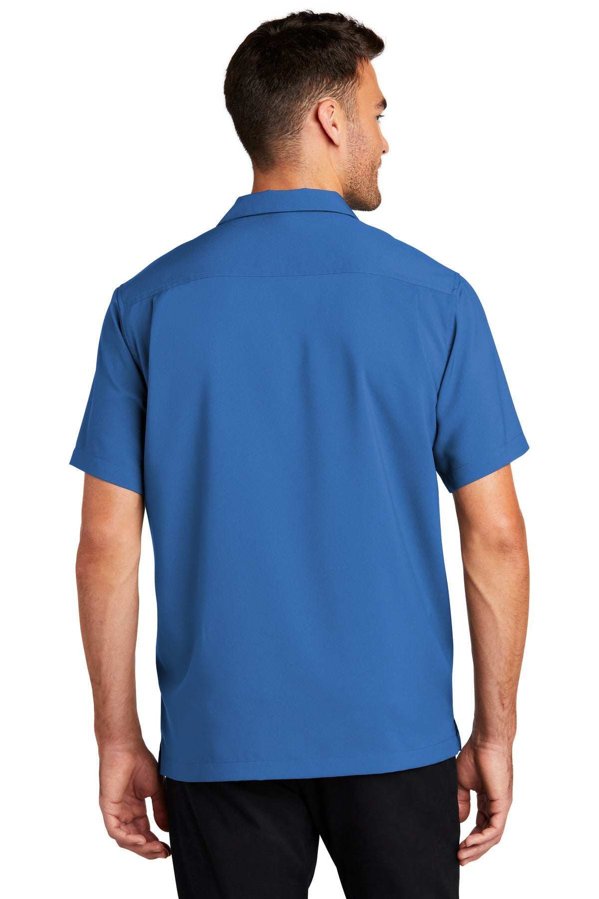 Back Model True Blue