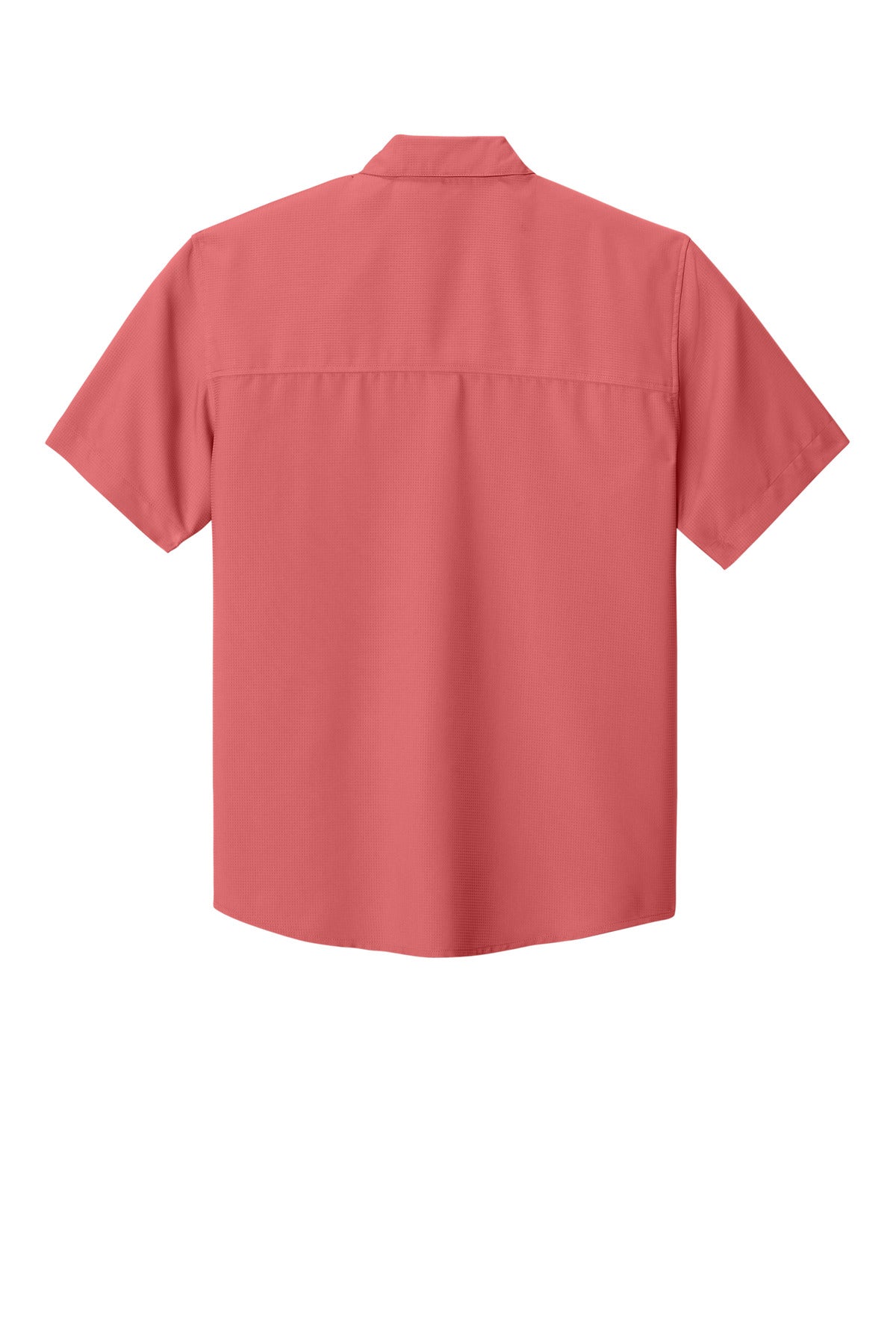 Back Product Coral Reef
