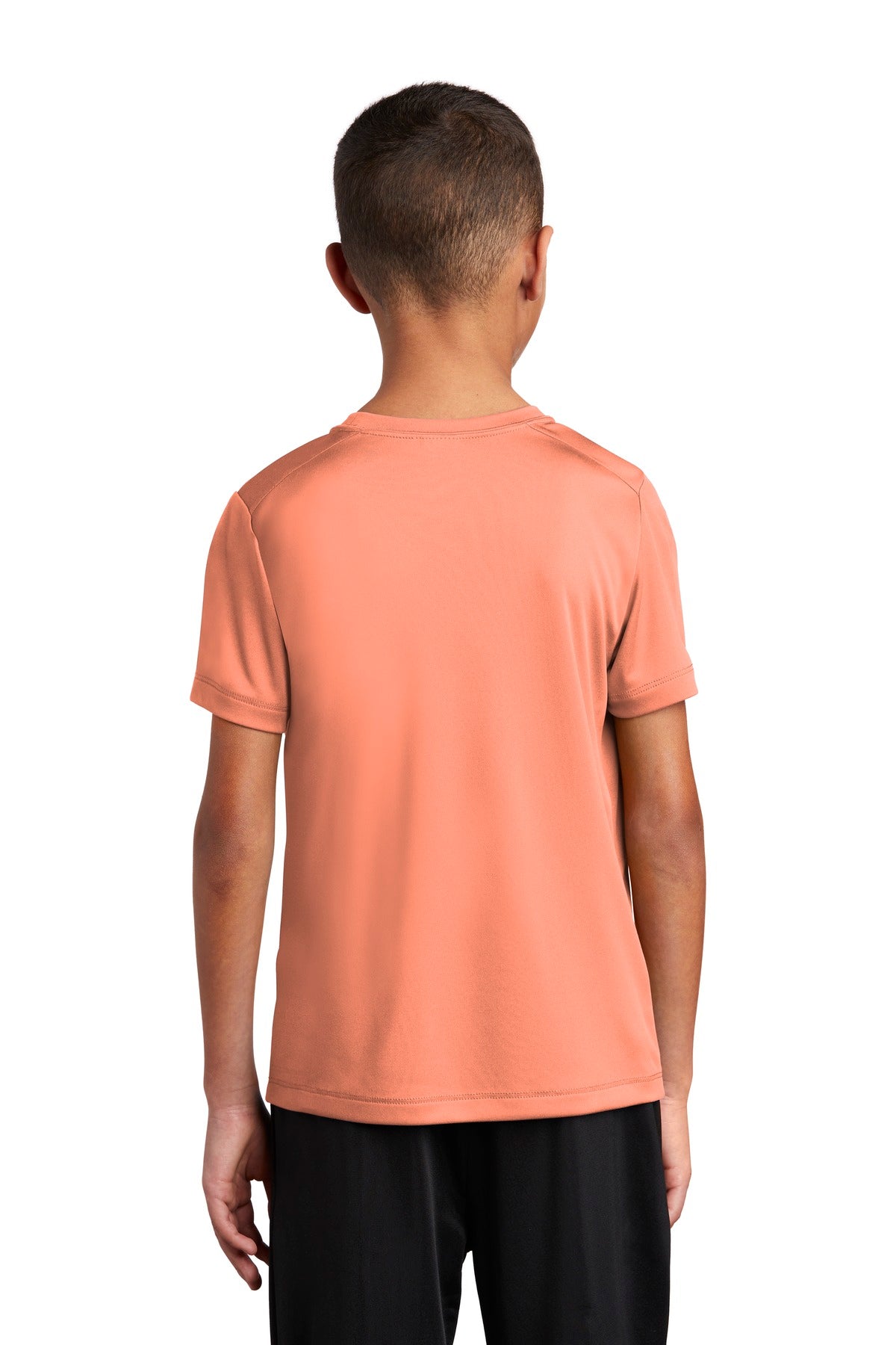 Back Model Soft Coral