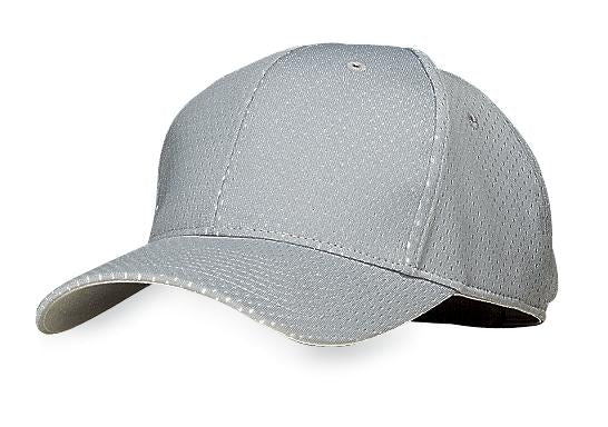 Model Silver