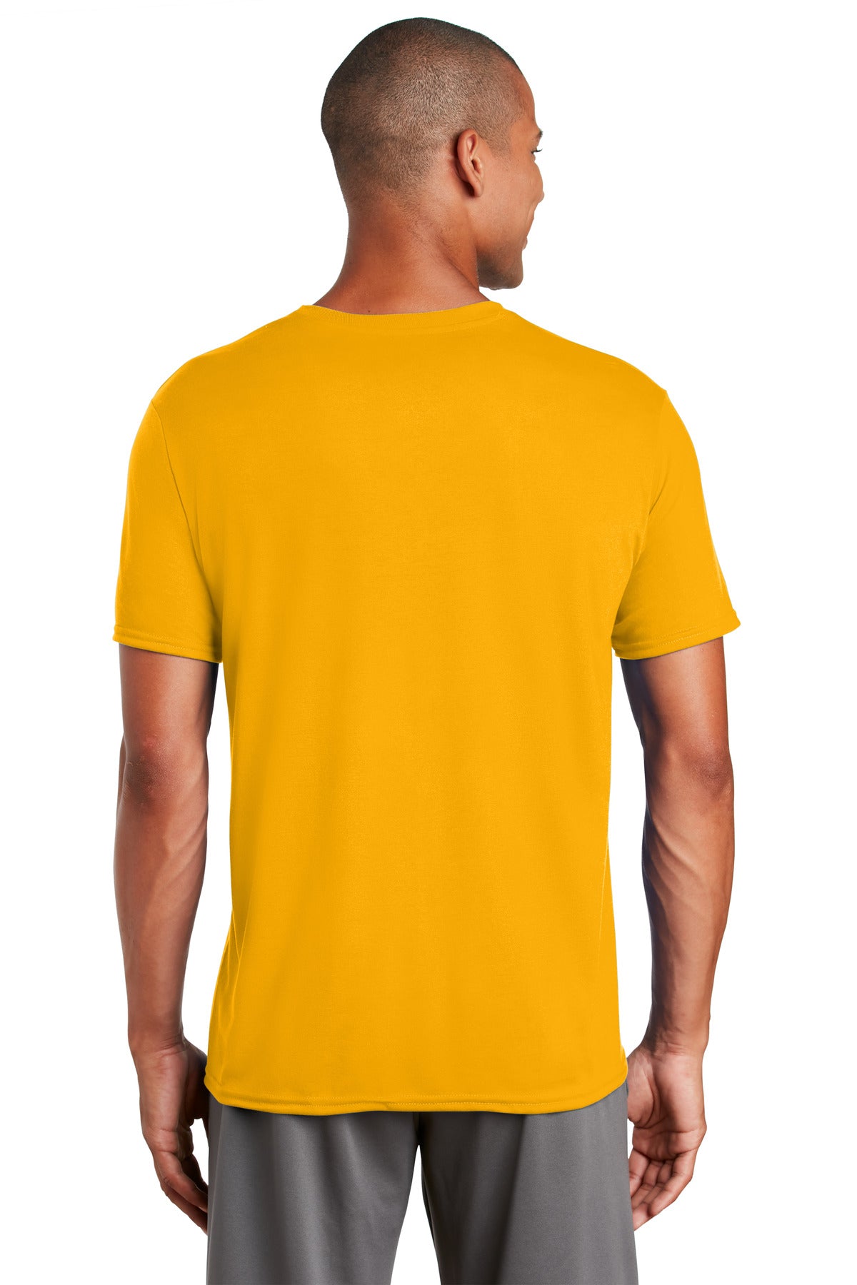 Back Model Gold