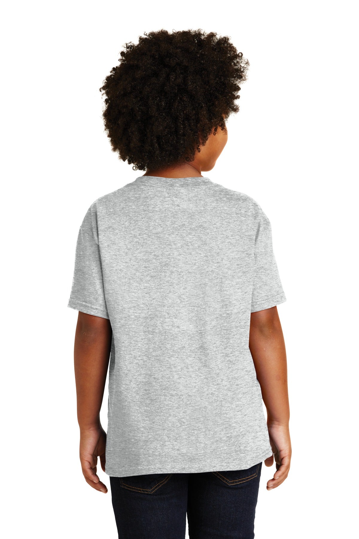 Back Model Ash