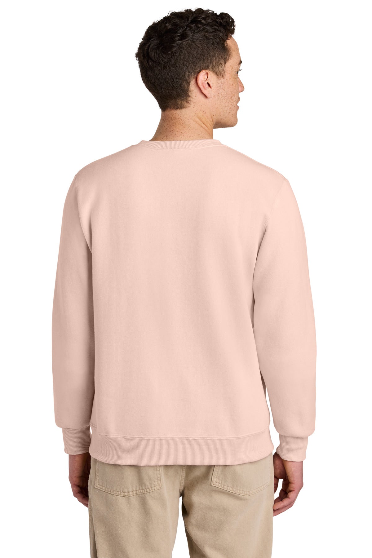 Back Model Blush Pink