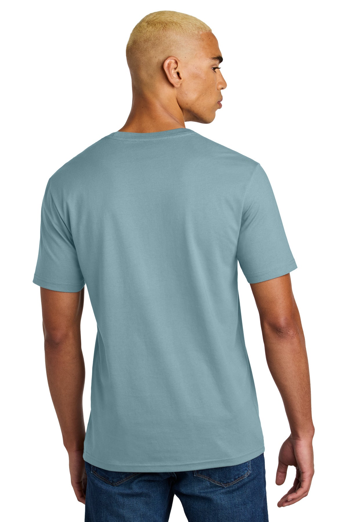 Back Model Blue Fog