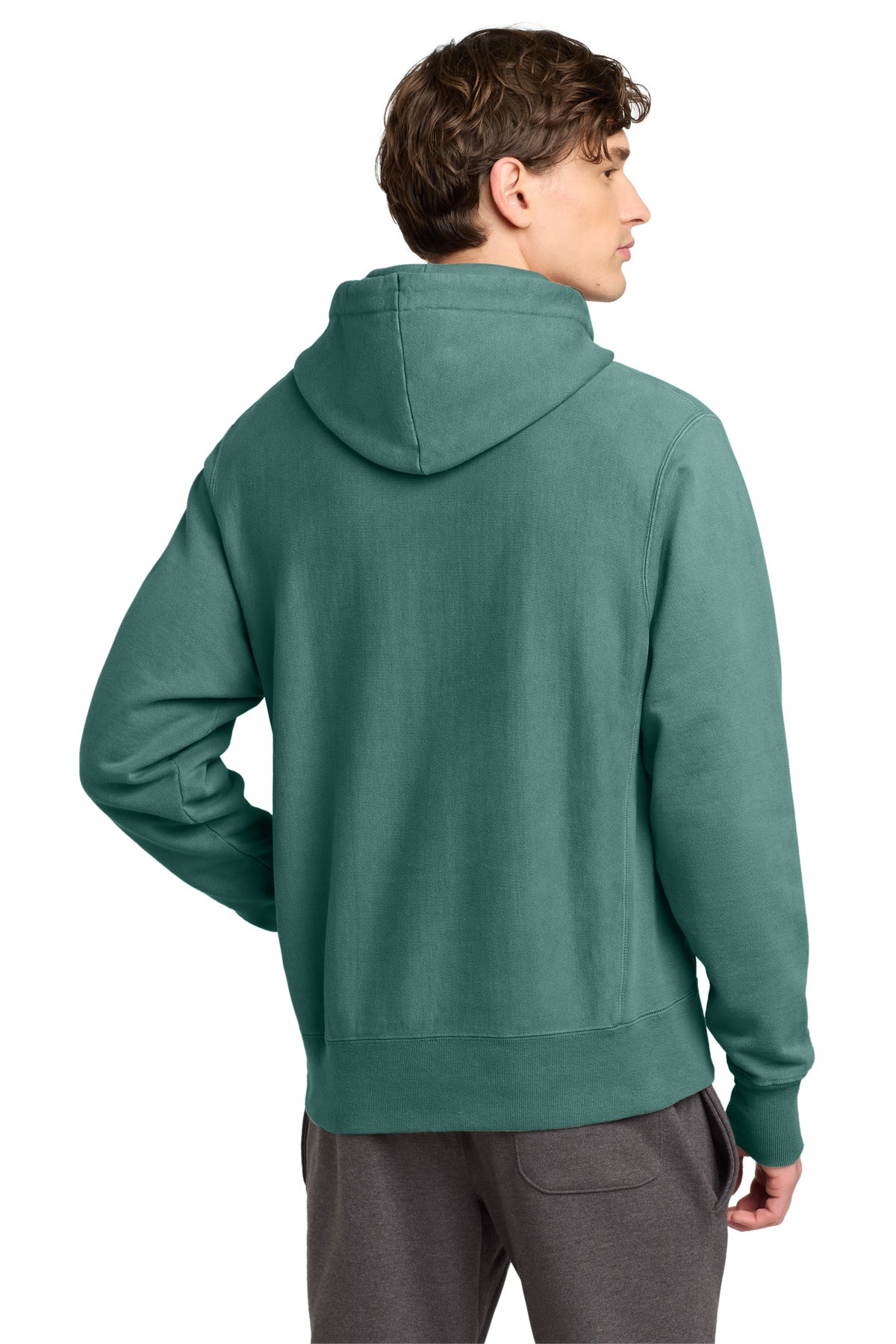 Back Model Cactus