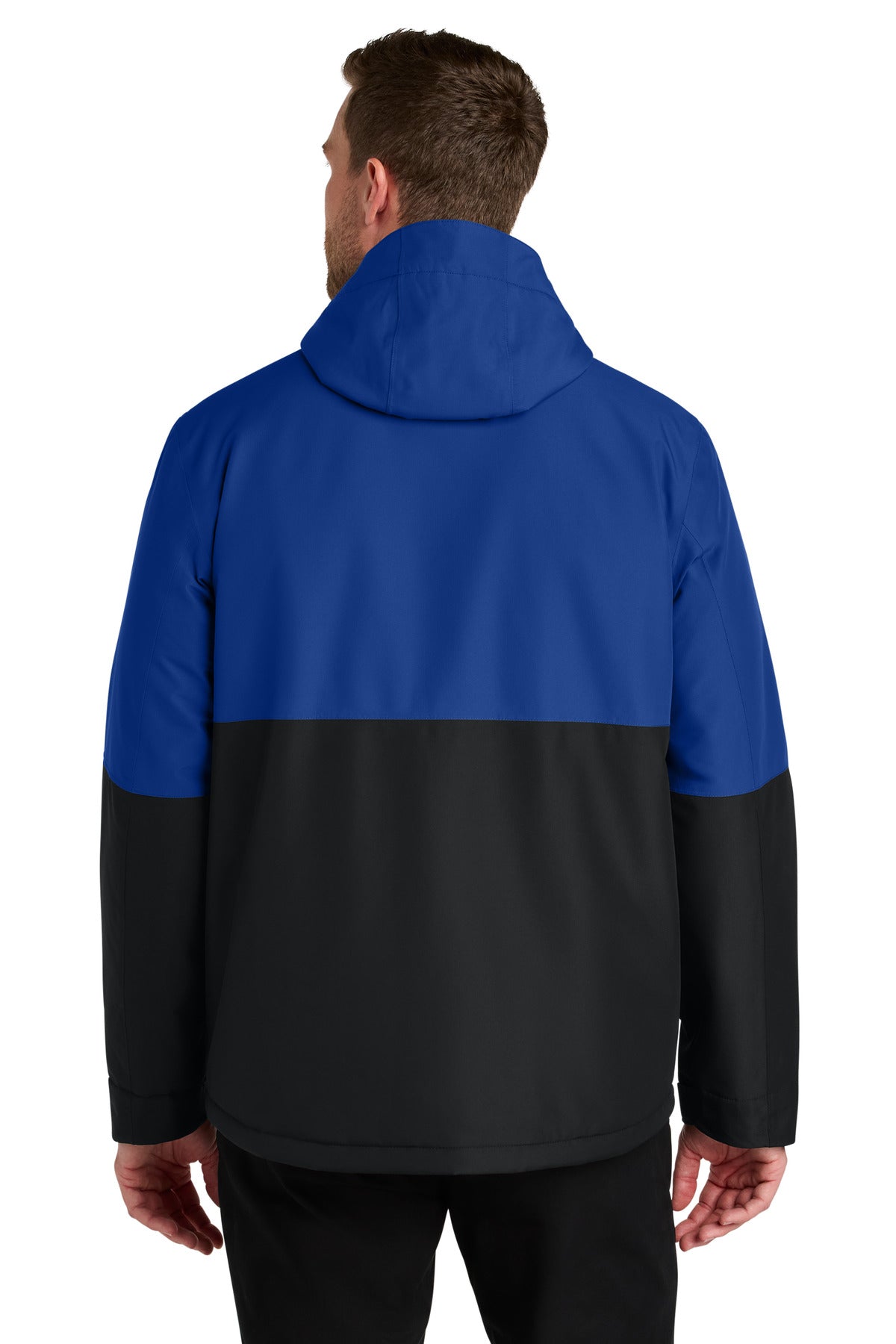 Back Model True Royal/ Deep Black