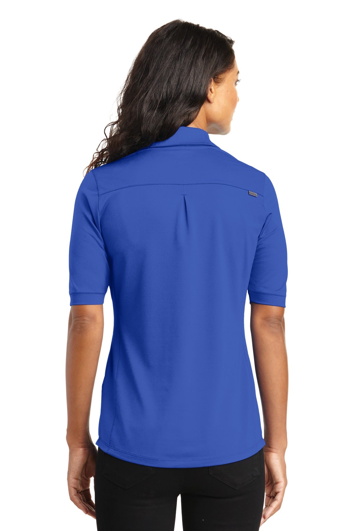 Back Model Enzyme Blue