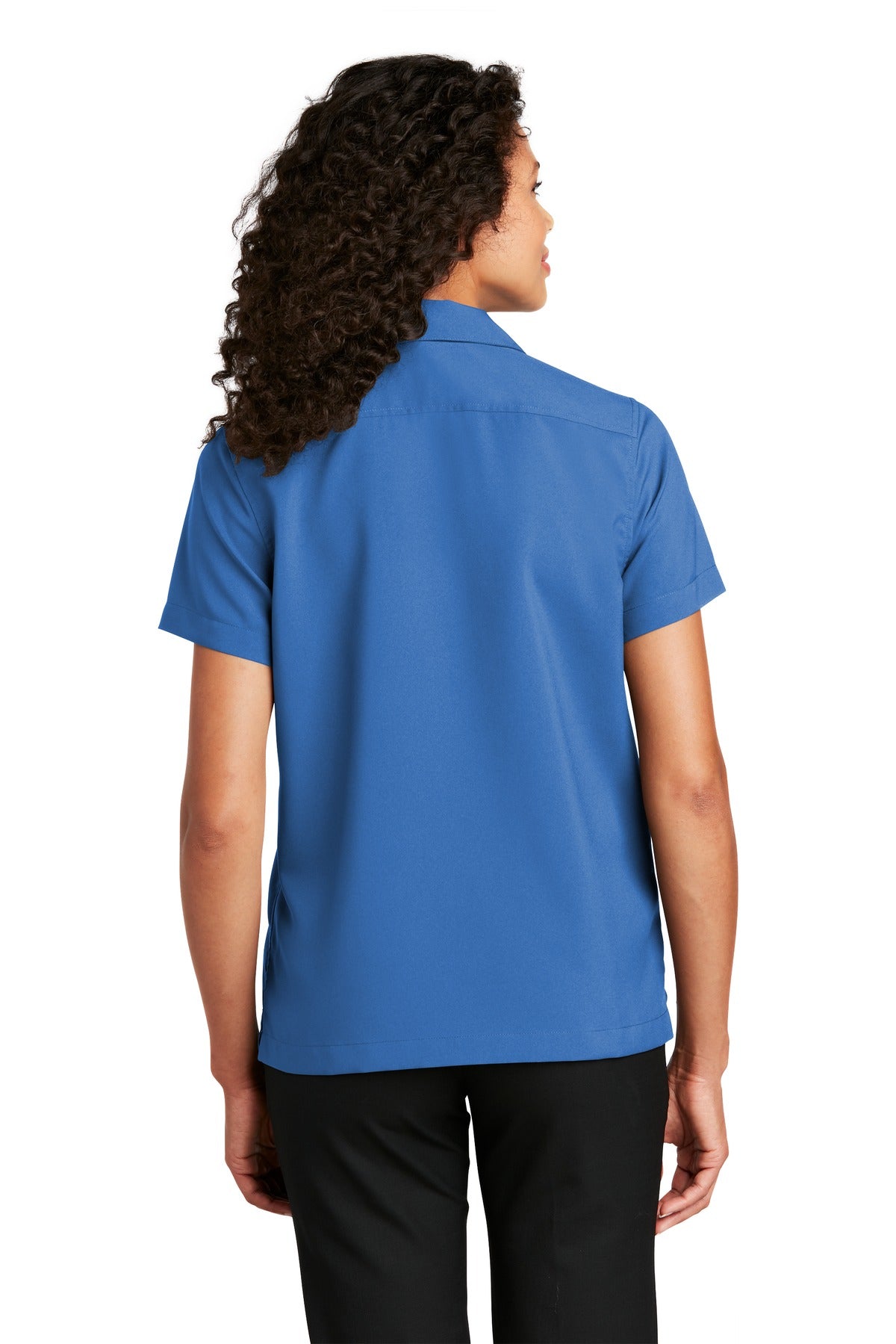 Back Model True Blue
