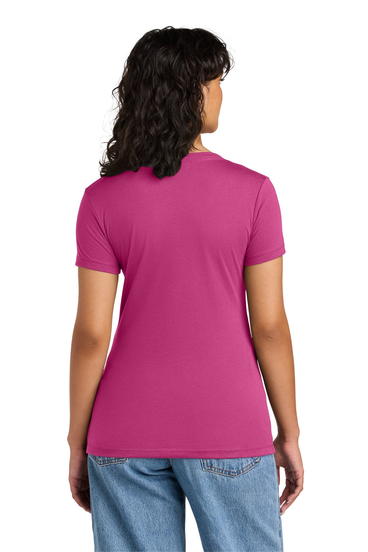 Back Model Raspberry