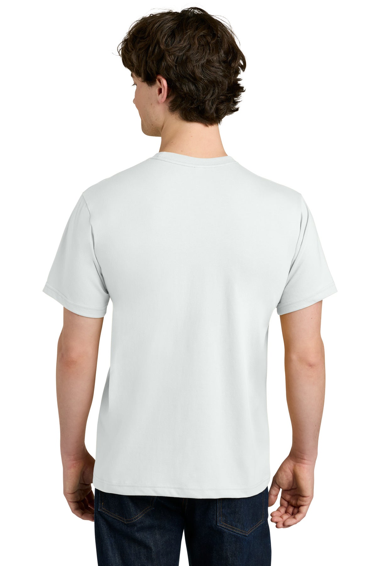 Back Model Bone