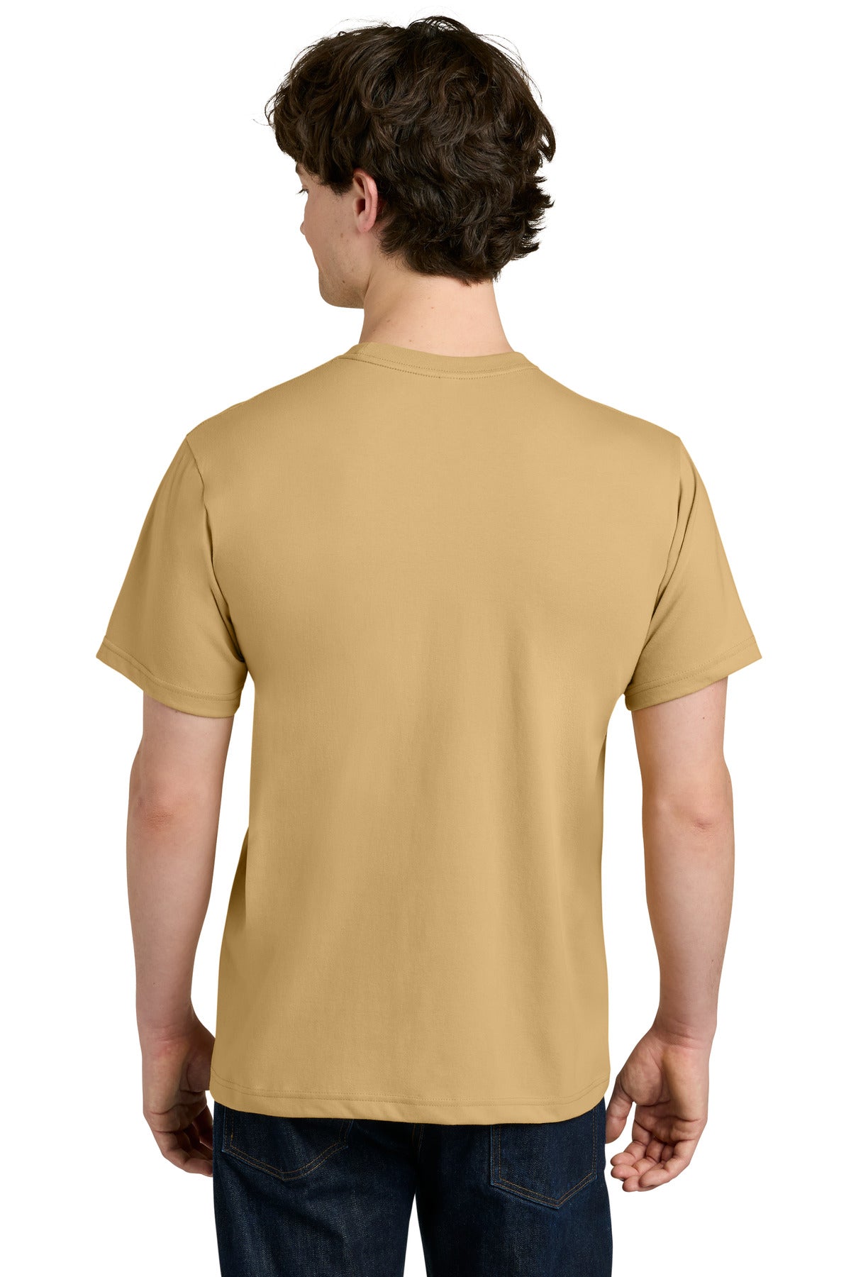 Back Model Camel