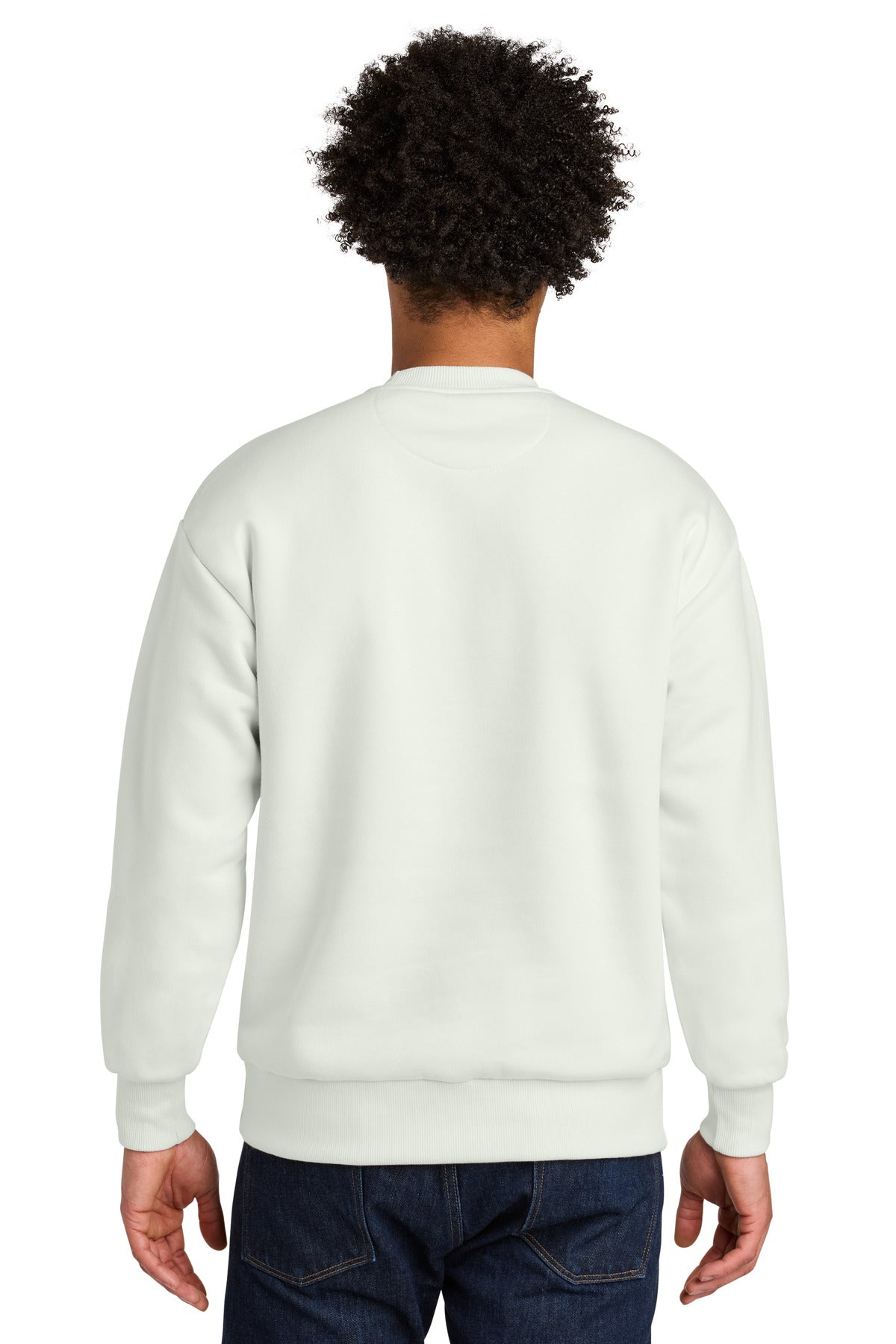 Back Model Bone