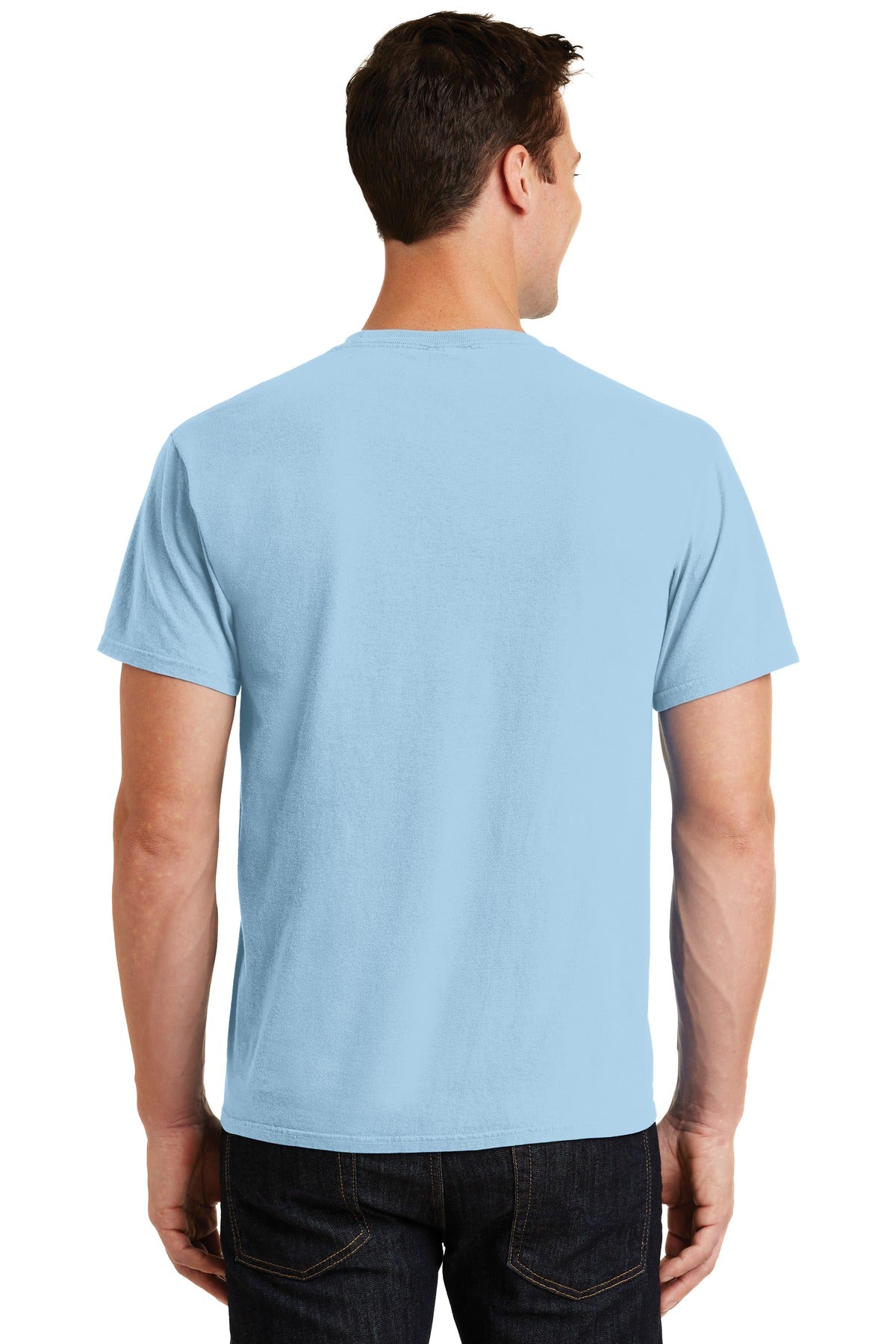 Back Model Glacier
