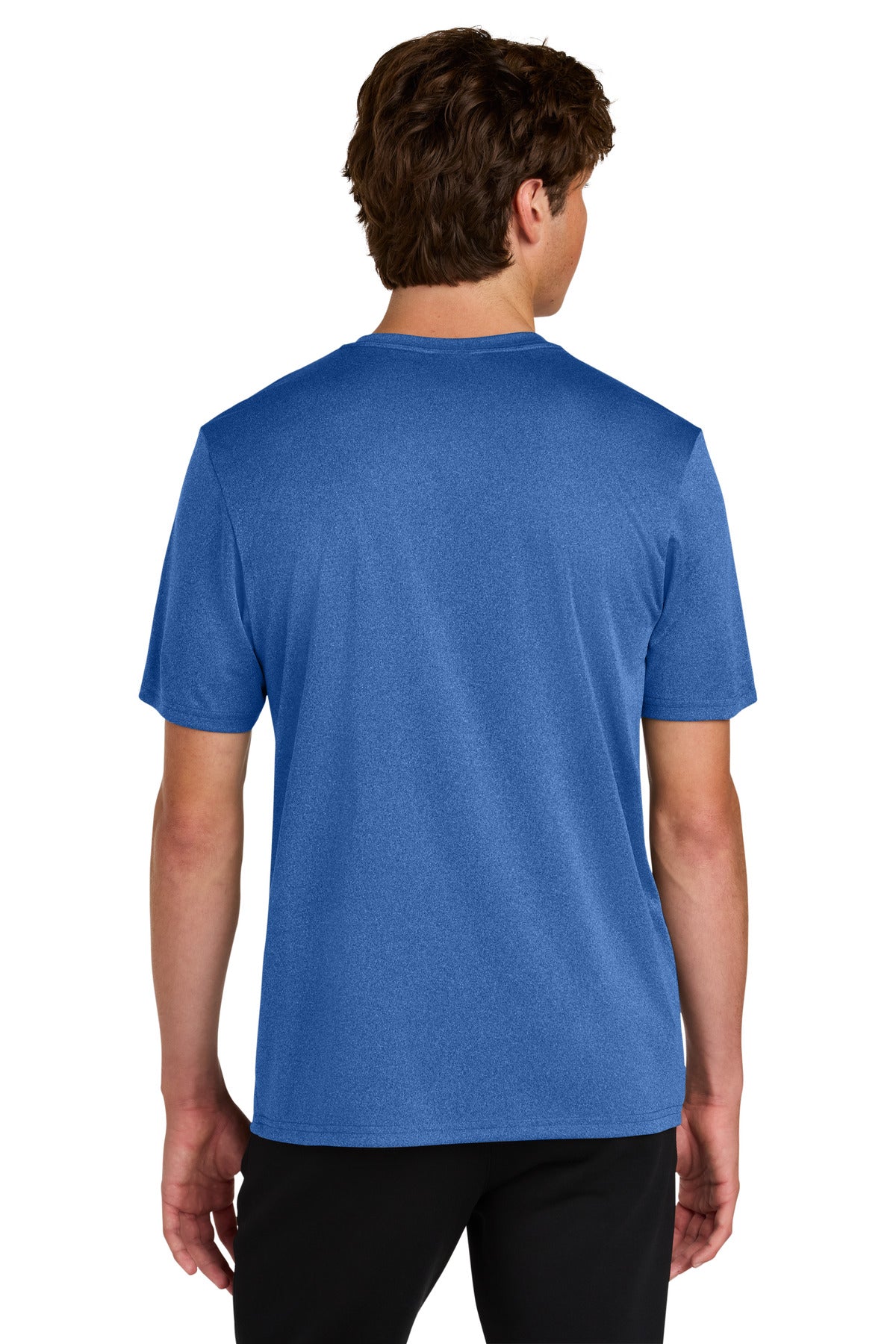 Back Model True Royal Heather