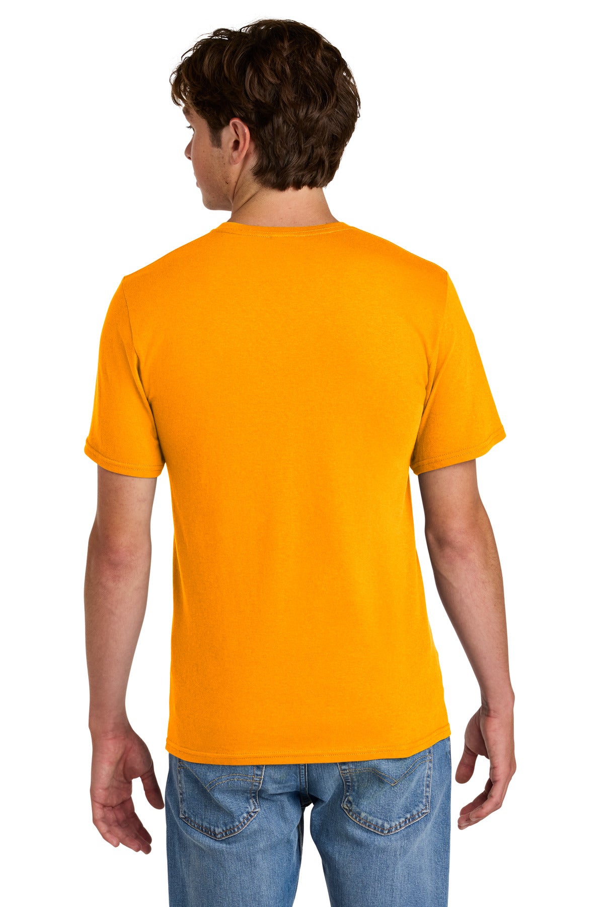 Back Model Gold