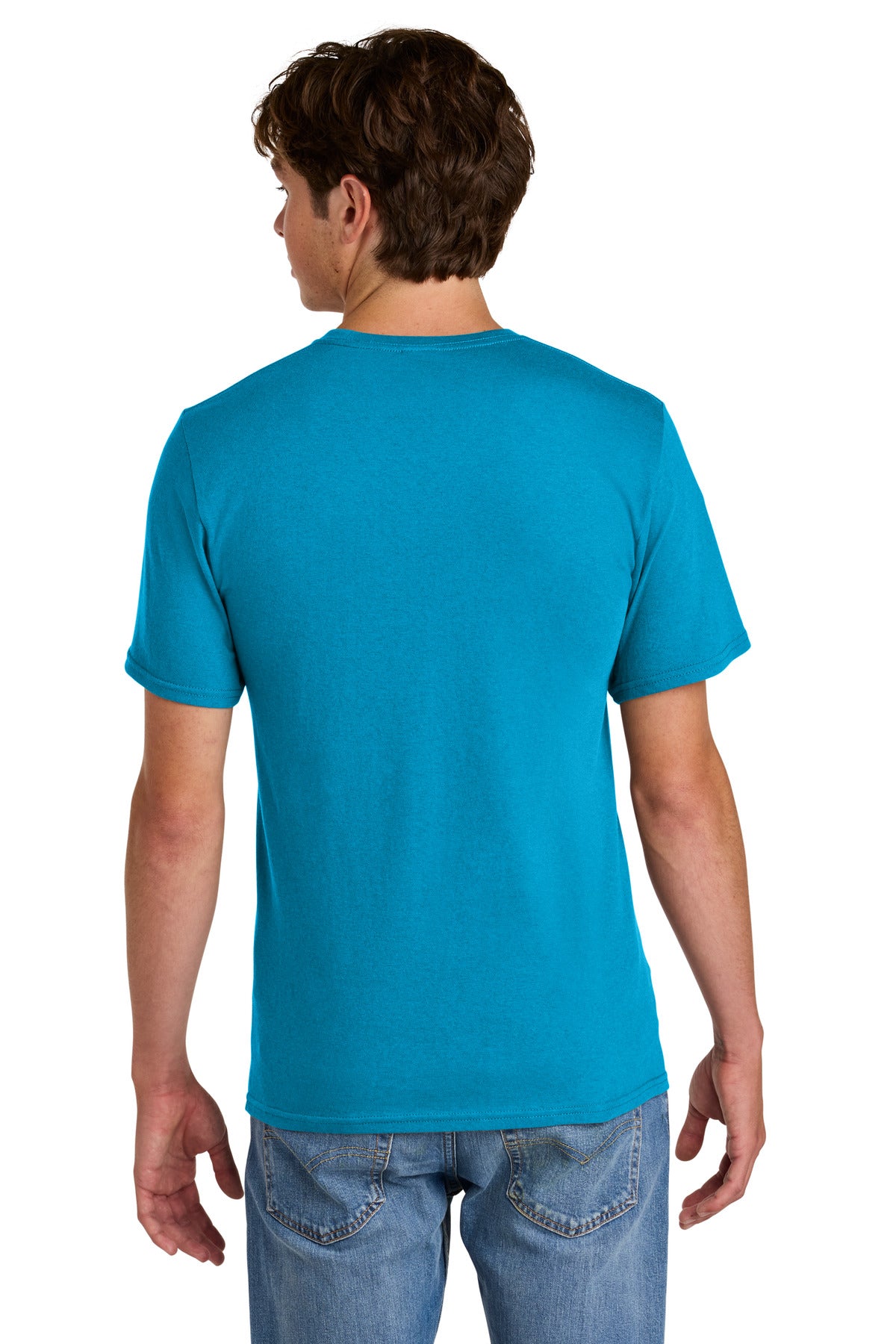 Back Model Sapphire