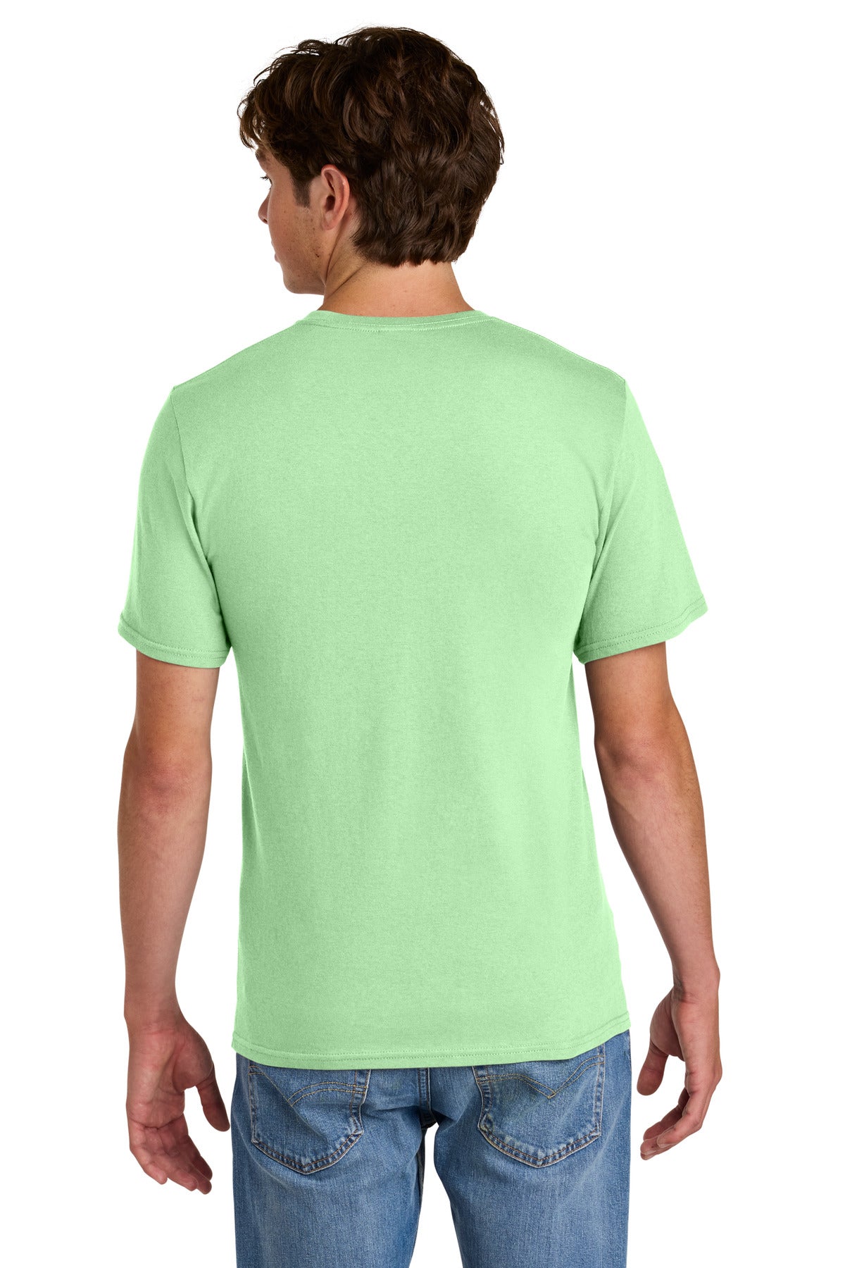 Back Model Spearmint