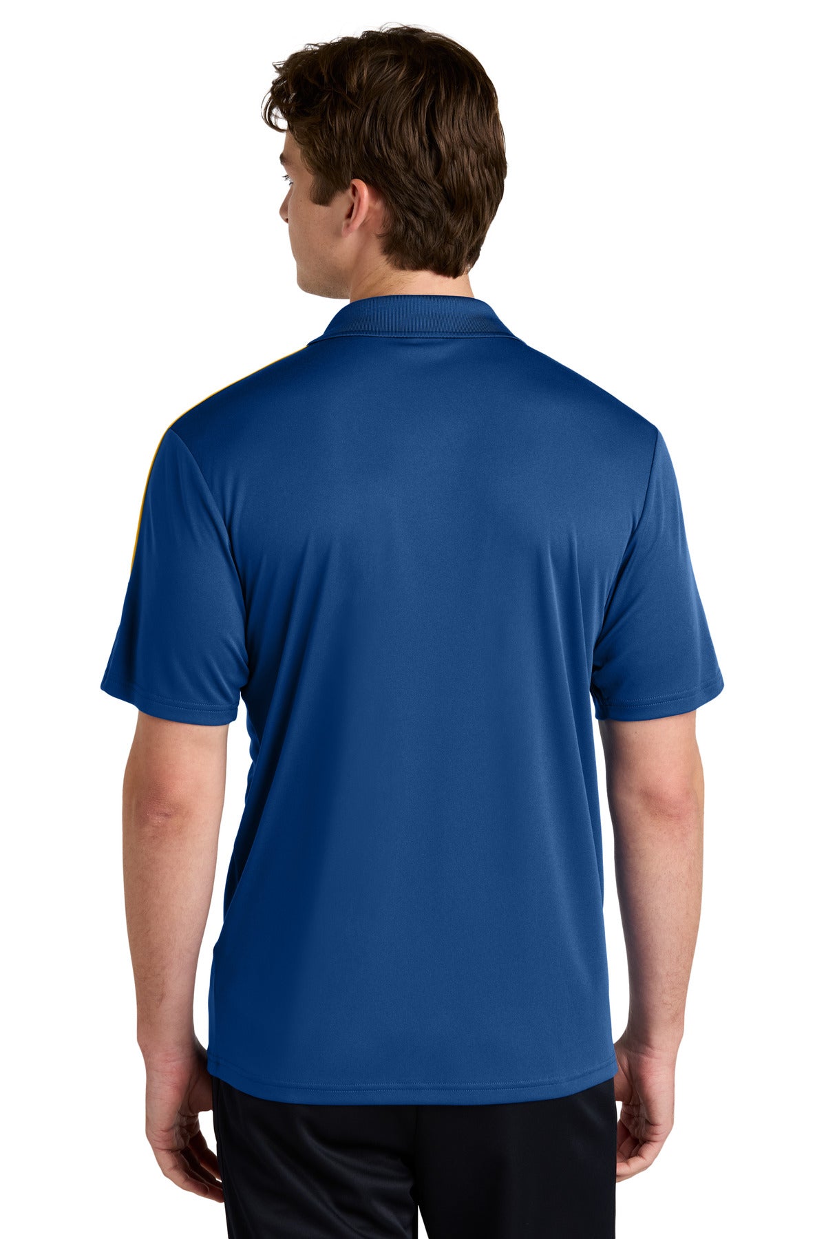 Back Model Royal/ Gold