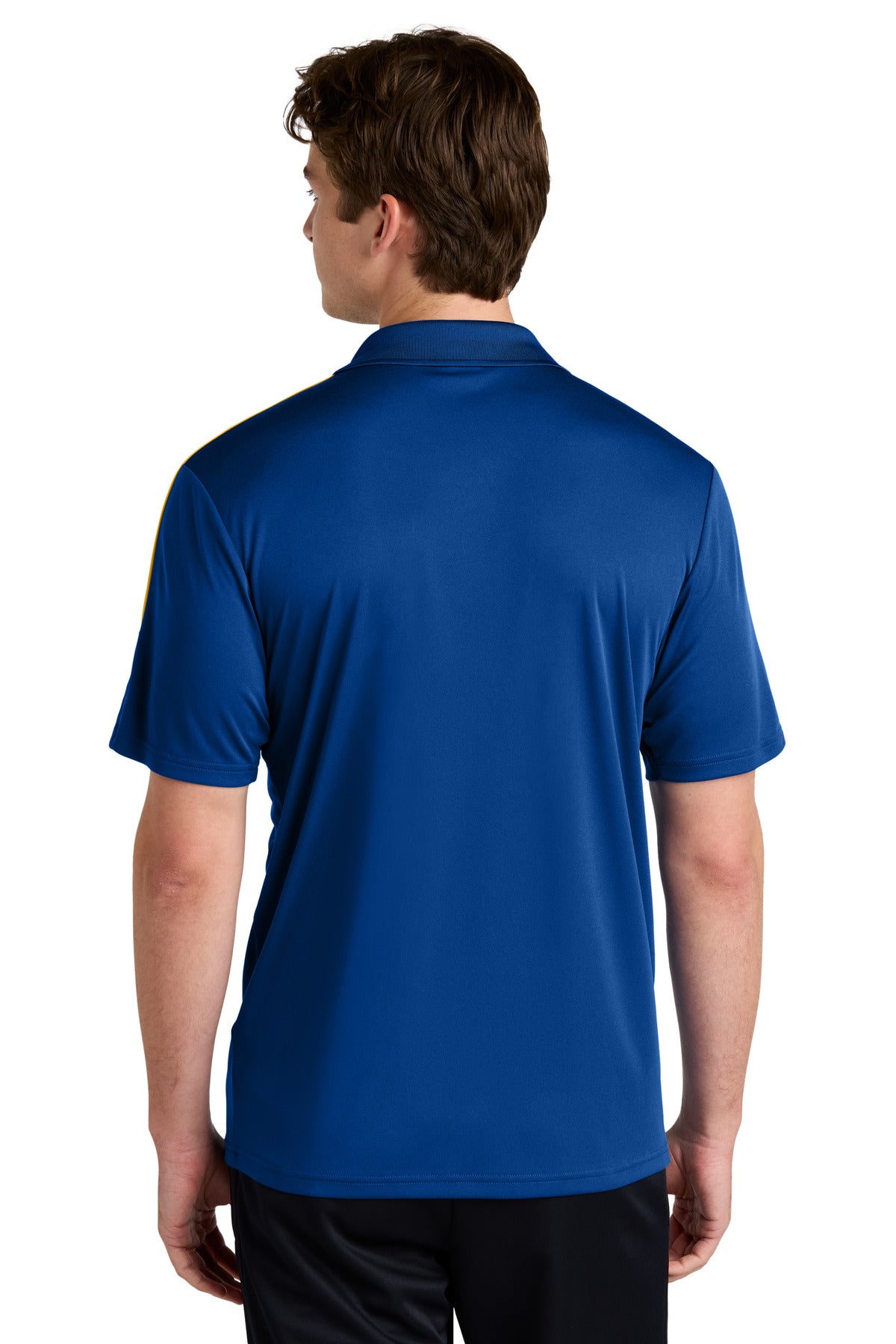 Back Model True Royal/ Gold