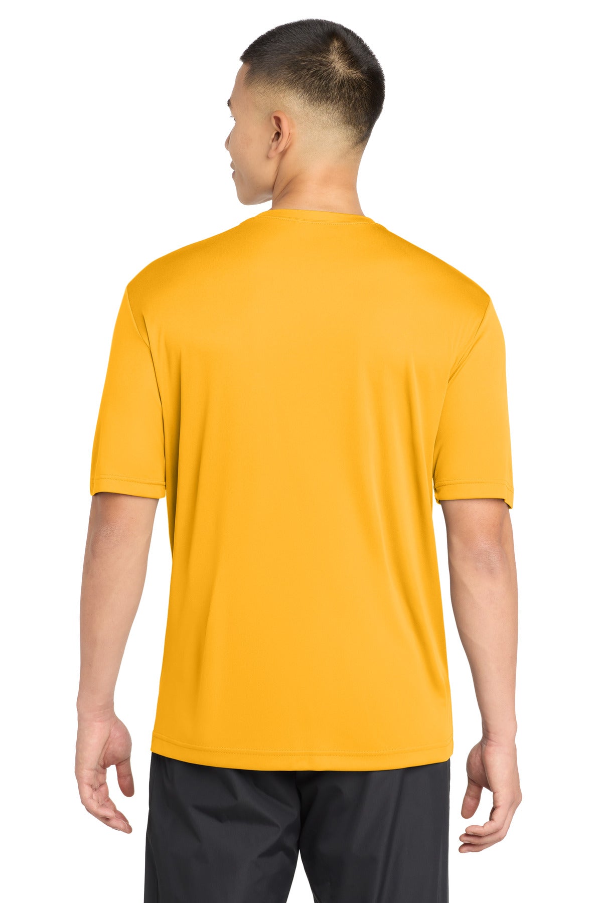Back Model Gold