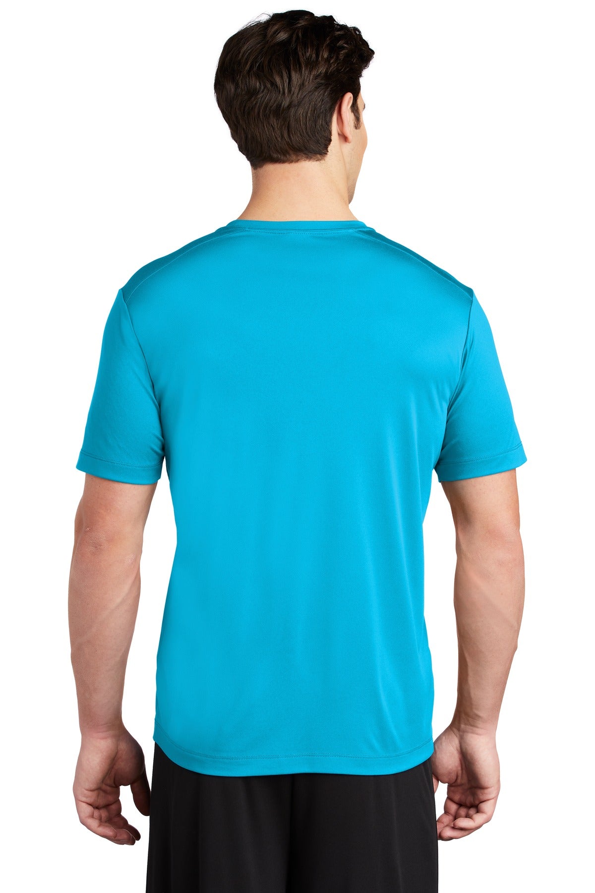 Back Model Sapphire