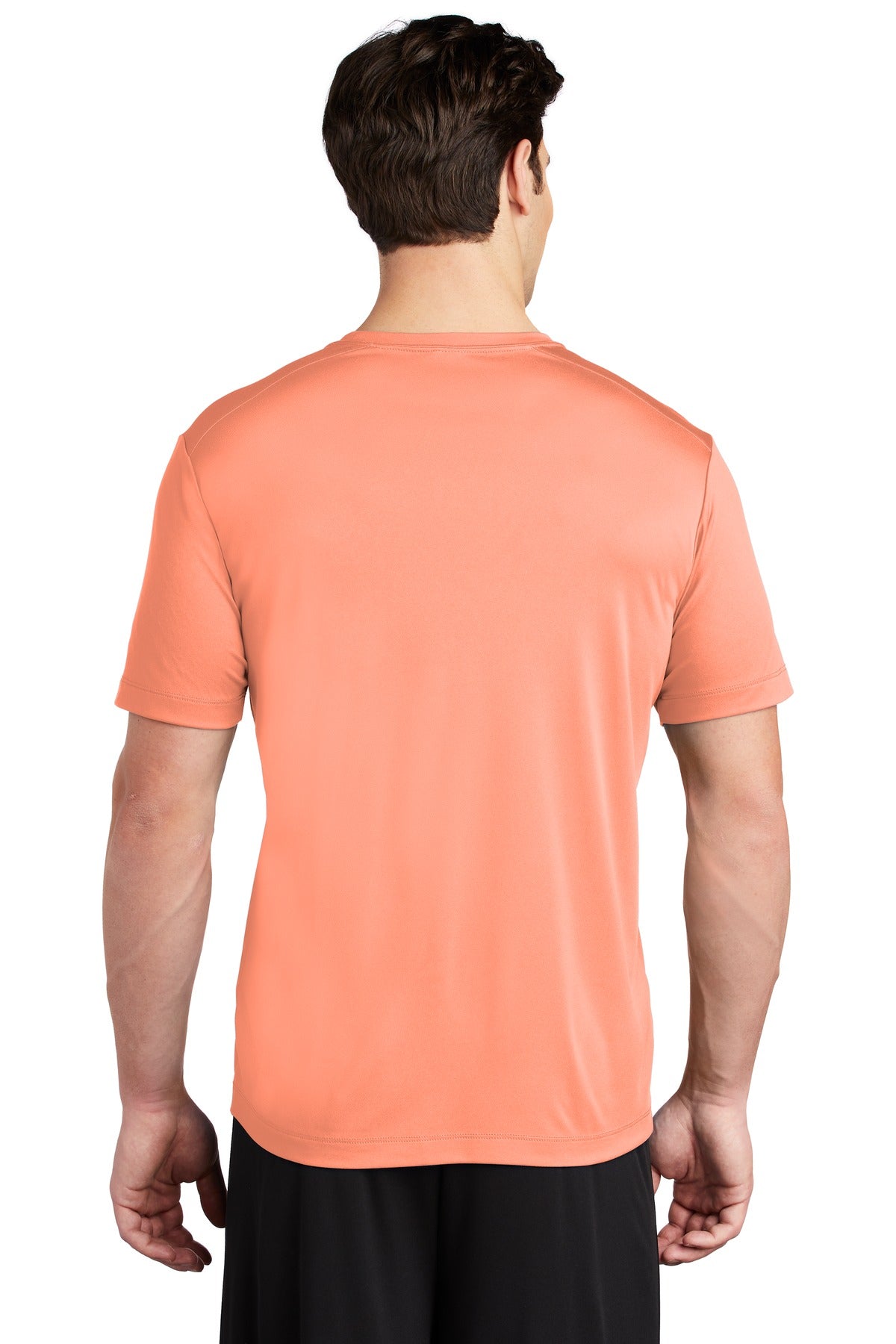 Back Model Soft Coral