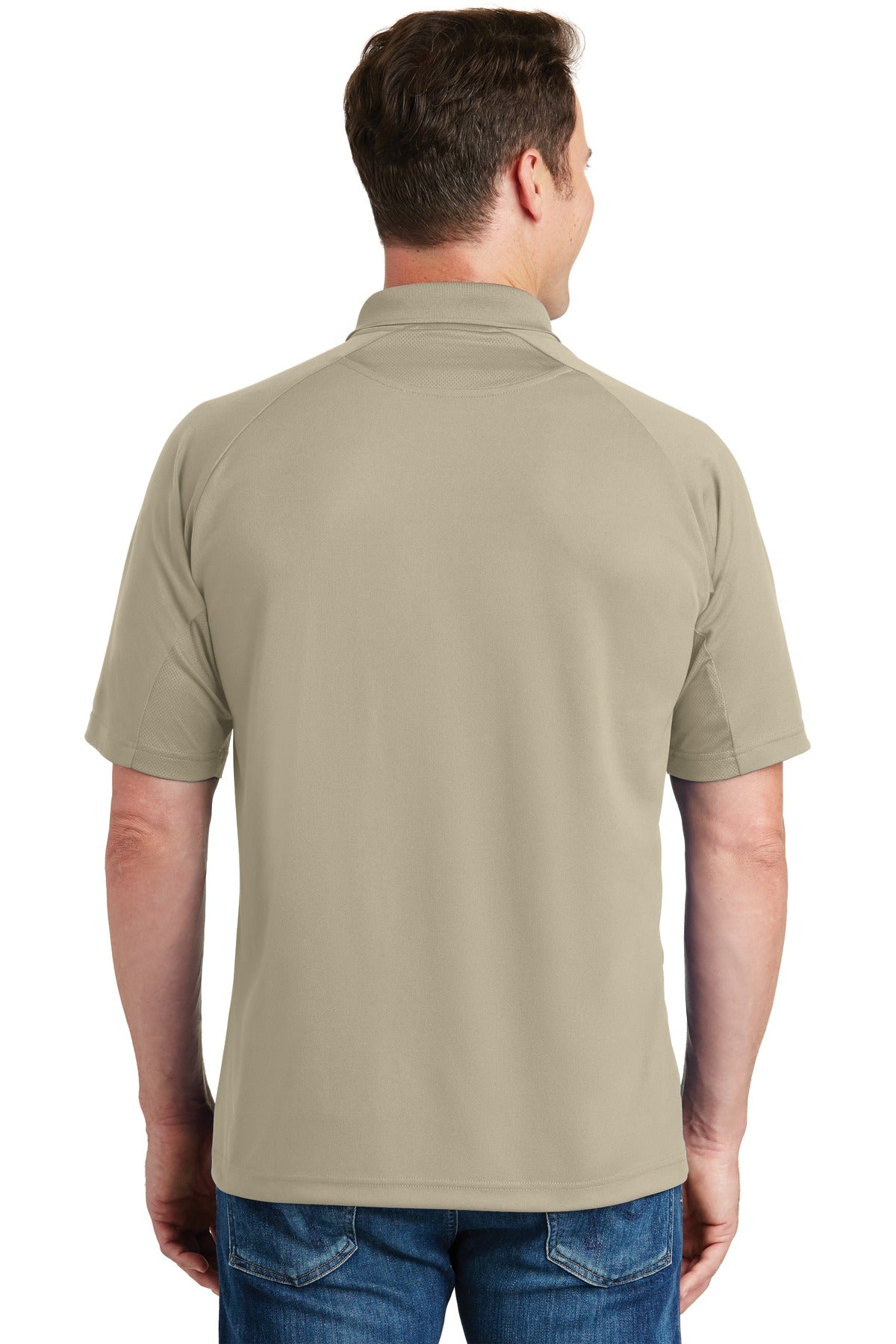 Back Model Sandstone