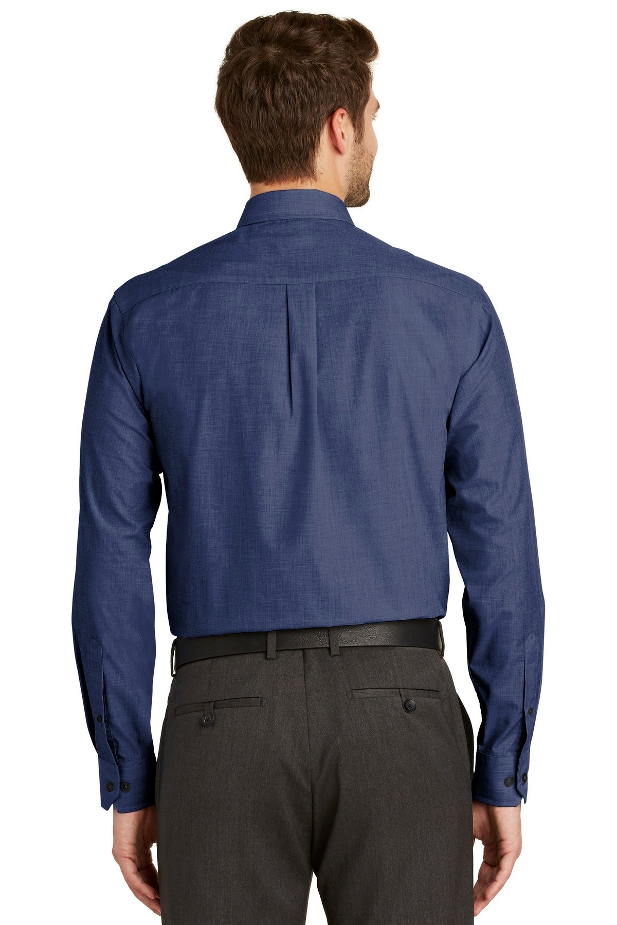 Back Model Deep Blue
