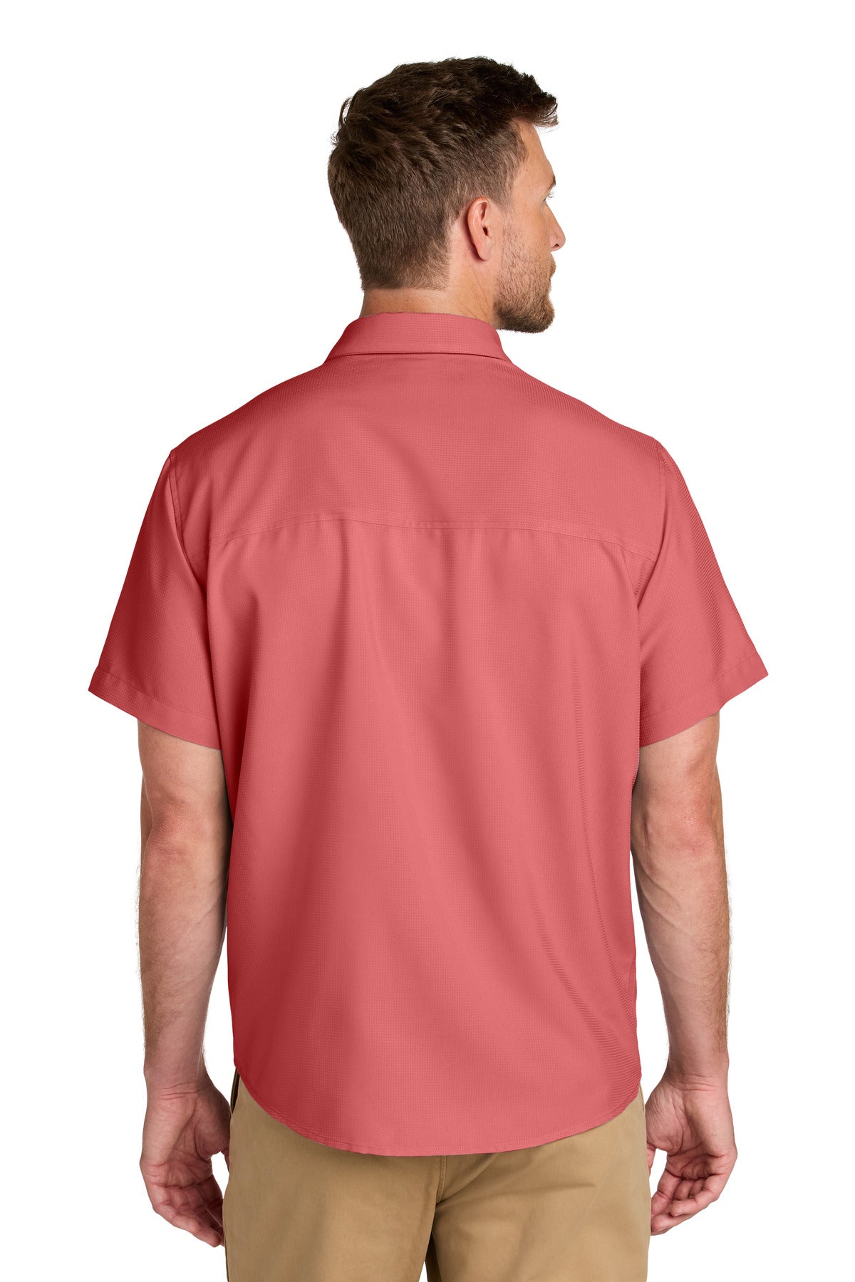 Back Model Coral Reef
