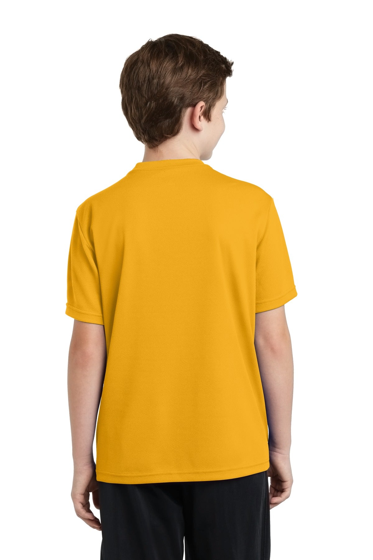 Back Model Gold